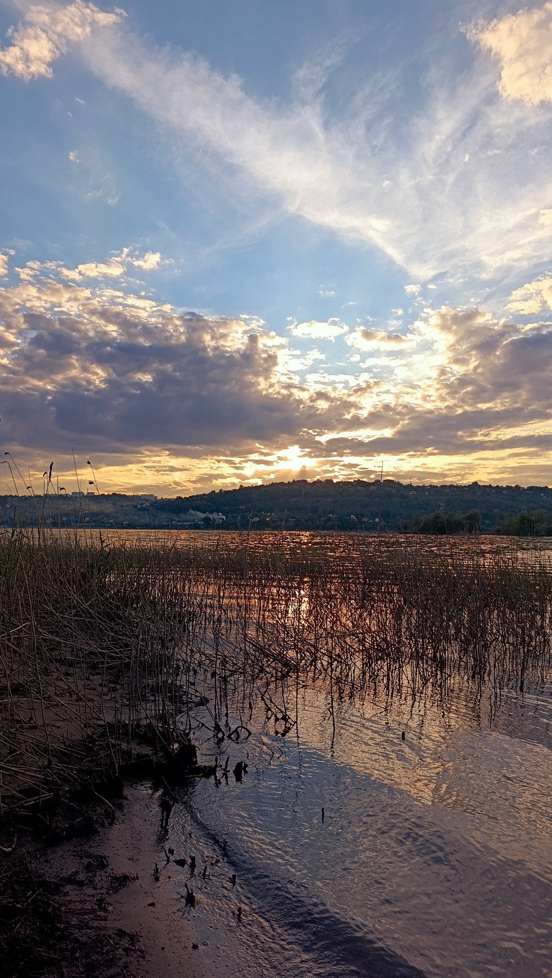 This is a vertical, eye-level, full shot of a sunset over a body of water, likely the Volga River, near Saratov, Russia. The sun is setting behind a densely forested hill on the horizon, with a small town or city visible on the crest. The sky is a gradient of blue and white, with scattered clouds illuminated by the setting sun, casting golden and pink hues across the scene. In the foreground, tall, dry reeds grow along the muddy bank of the water. The water itself is calm, reflecting the colors of the sky and the reeds. The overall mood is tranquil and serene.