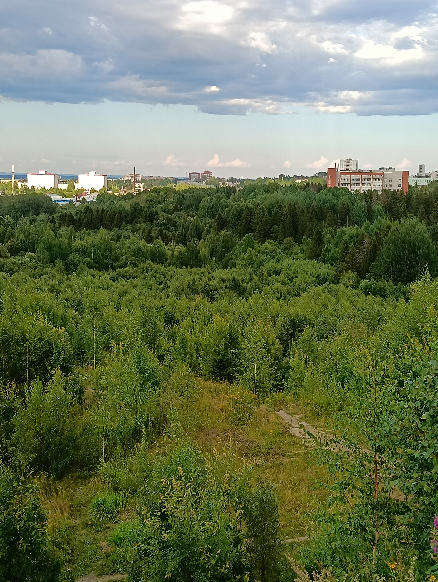 The image captures a vast expanse of dense, green forest from an elevated perspective. The trees are a mix of deciduous and coniferous, creating a varied texture of foliage. In the distance, beyond the forest canopy, glimpses of a city are visible. These include several multi-story buildings, some appearing to be apartment complexes or commercial structures, with flat roofs and visible windows. There are also some industrial-looking buildings with chimneys. The sky above is a mix of light blue with scattered, heavy gray clouds, suggesting either an approaching storm or recent rain. The foreground shows a path winding through the greenery, possibly a trail for walking or biking. The overall scene depicts a natural landscape bordering an urban environment. Based on the context provided, this scene is located in the city of Petrozavodsk, Russia.
