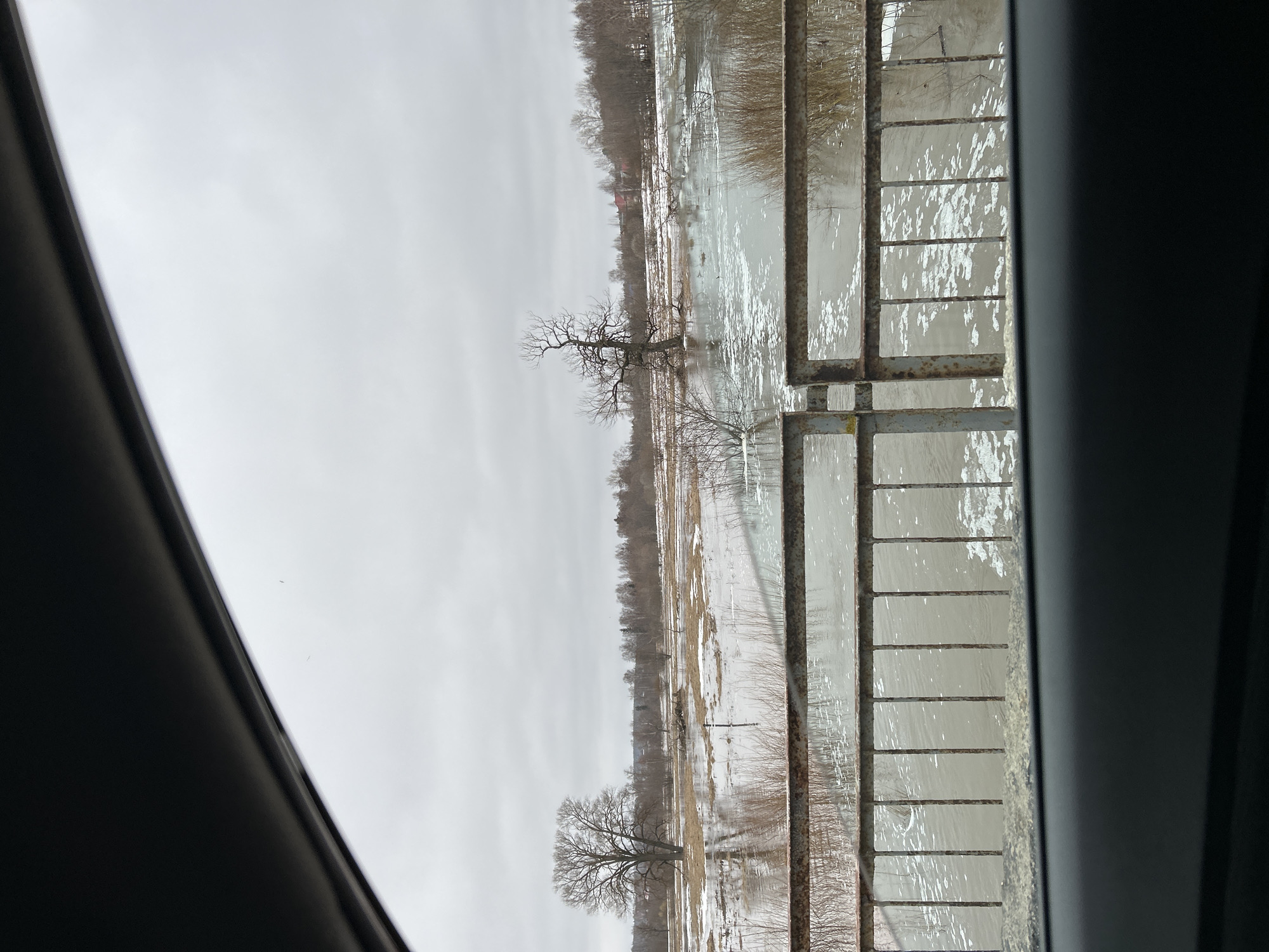 The image depicts a flooded landscape, likely a river or lake overflowing its banks, viewed from behind a metal railing and through a vehicle window. The scene is characterized by muted colors and an overcast sky. Two bare trees stand partially submerged in the water, their branches reaching skyward. Other trees line the horizon. In the background, a building with a red roof can be seen. The metal railing is composed of vertical and horizontal bars. The vehicle window frames the scene. The image has a slightly tilted perspective. I cannot confirm the location is Уральское, Russia.