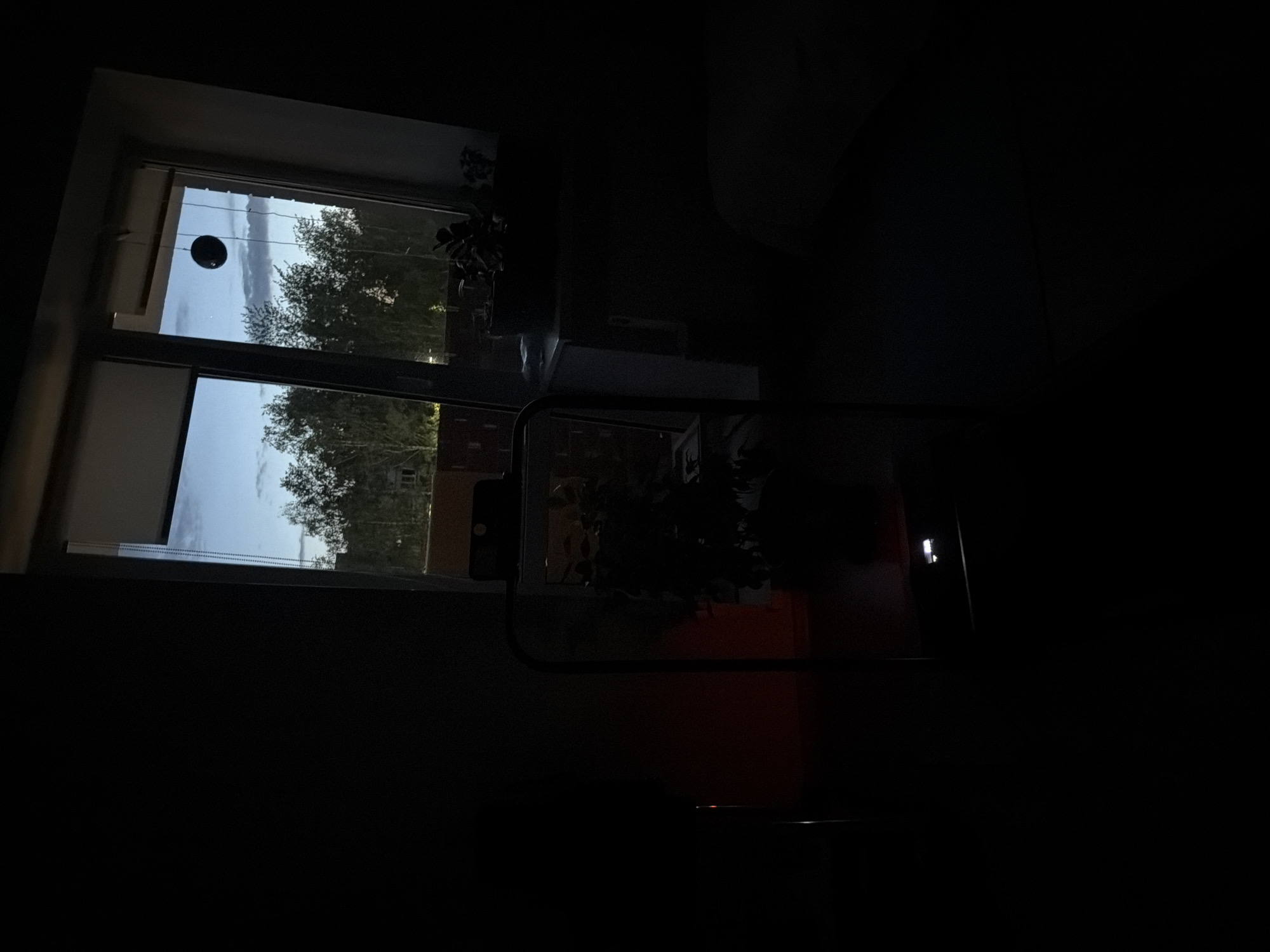 The image, rotated approximately 90 degrees clockwise, depicts a dark indoor room looking out through a window during what appears to be dusk or early morning.
Through the window, a view of trees and distant buildings under a partly cloudy, light blue sky is visible. A dark, spherical object hangs suspended from the upper part of the window frame. The outdoor environment suggests an urban or suburban setting, specifically Izhevsk, Russia.
The interior of the room is predominantly dark. To the immediate right of the window, a dark plant is discernable on a surface. Further into the room, details are largely obscured by the low light, but faint outlines of furniture or other objects are suggested. A small, bright, rectangular light source is visible in the far right of the frame, contrasting with the surrounding darkness, possibly an indicator light or a reflection. No people or visible text are present in the image.