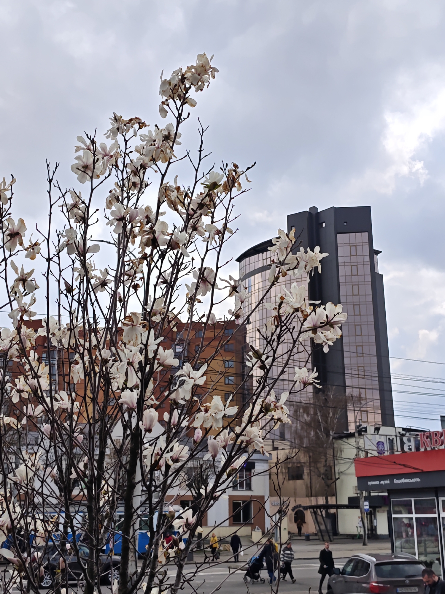 The image shows a flowering tree with white flowers in the foreground, obscuring parts of a cityscape. In the background, there are buildings of varying heights and architectural styles, including a tall, modern building with reflective windows and a darker, blockier section. A lower building with a red roof and signage in a Cyrillic alphabet is also visible.
Pedestrians are crossing a street in the middle ground. A silver car is parked on the street.
The sky is overcast, suggesting it is a cloudy day. The overall scene conveys a sense of urban life amidst nature, with the flowering tree adding a touch of spring to the cityscape. The location is suggested to be Vinnytsia, Ukraine.
