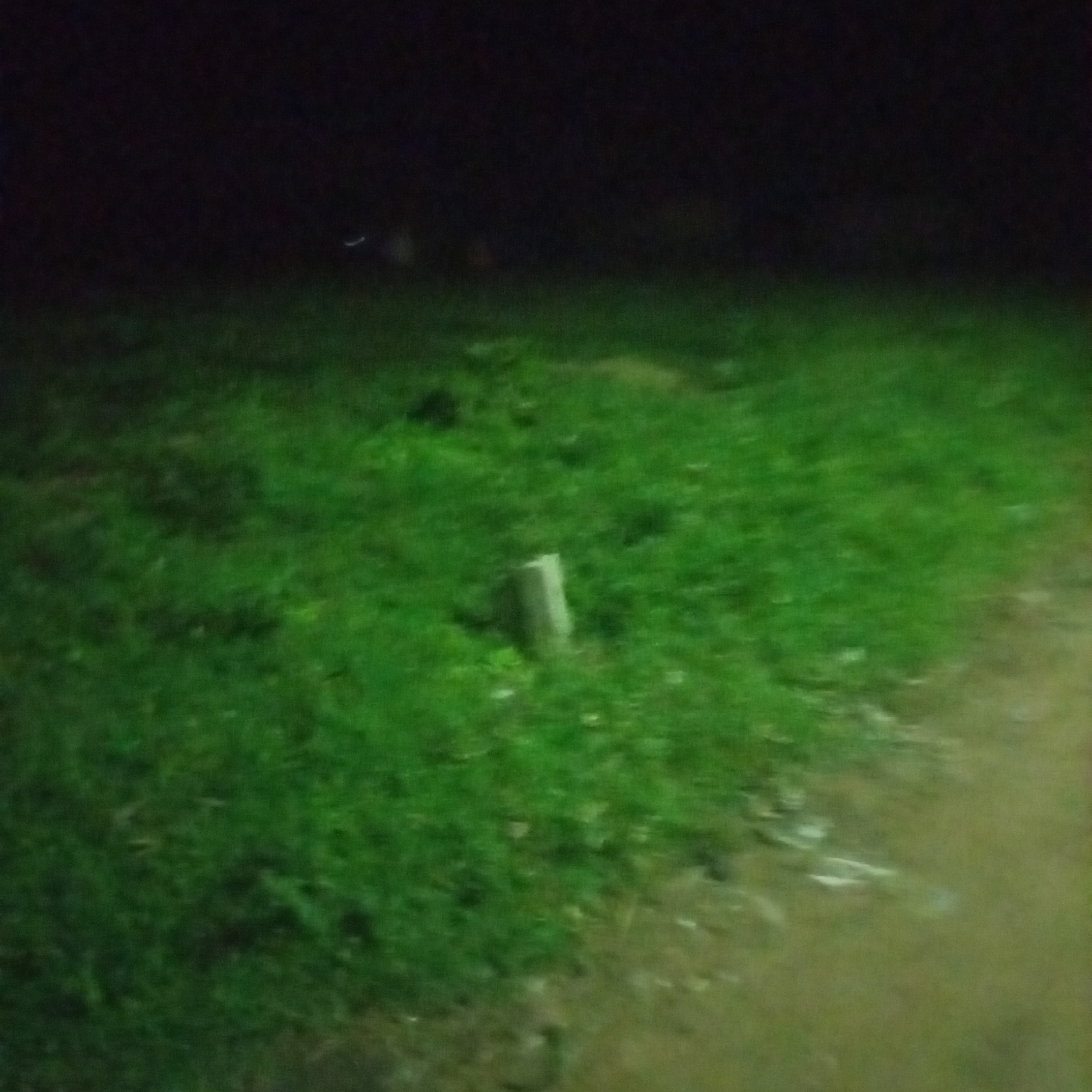 The image is a low-light, blurry photograph of an outdoor scene. The foreground is dominated by green grass, some of which appears illuminated, giving it a vibrant hue. In the middle ground, a small, light-colored post or stake is visible amidst the grass. The background is dark and indistinct, with some faint shapes that could be people or structures, but they are too blurry to identify clearly. The lighting suggests it is nighttime or very early morning, and the overall impression is that of an open, grassy area, possibly a field or park, in Jalingo, Nigeria. The blurriness of the image hinders any detailed analysis of specific objects or actions.