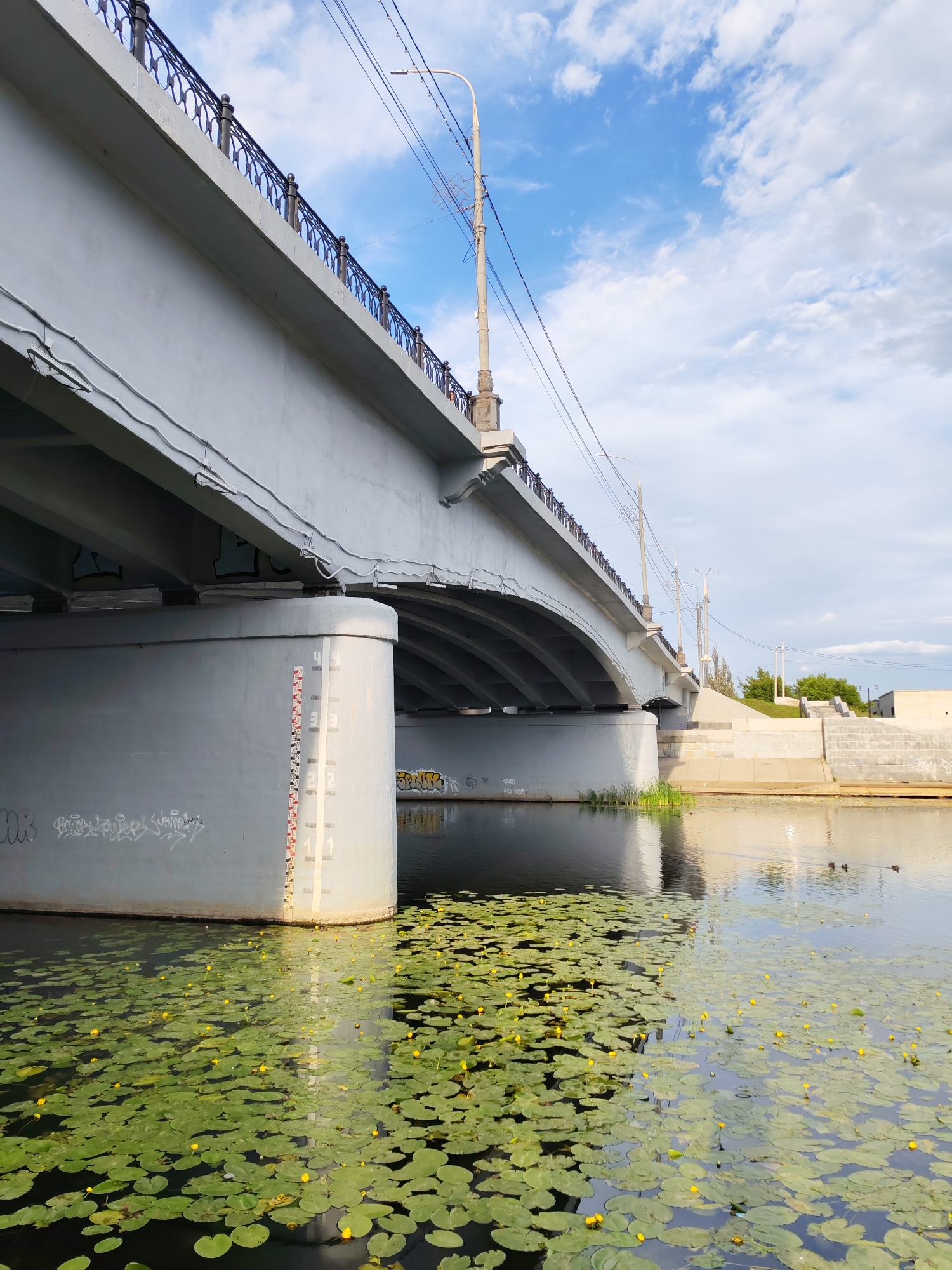 This media file depicts a bridge over a calm body of water, likely a river or canal, with a rich carpet of lily pads and small yellow flowers floating on its surface. The bridge itself is a substantial concrete structure with ornate black metal railings along its top edge. The underside of the bridge reveals its arching construction.
The scene is bathed in natural light, suggesting it is daytime, with a bright blue sky populated by fluffy white clouds. The water reflects the sky and the underside of the bridge, creating a mirror-like effect. On the bank, there are steps leading up to a grassy area and a building, hinting at an urban or semi-urban setting.
A notable detail on one of the bridge's concrete supports is a water level gauge, marked with numbers and lines, indicating the depth of the water. There is also graffiti visible on the lower parts of the bridge's concrete supports, adding an element of urban art to the scene. A few ducks are present on the water in the distance, swimming serenely.
The overall mood is tranquil and scenic, capturing a peaceful moment by the water under a clear sky. The location context provided places this scene in Yoshkar-Ola, Russia.