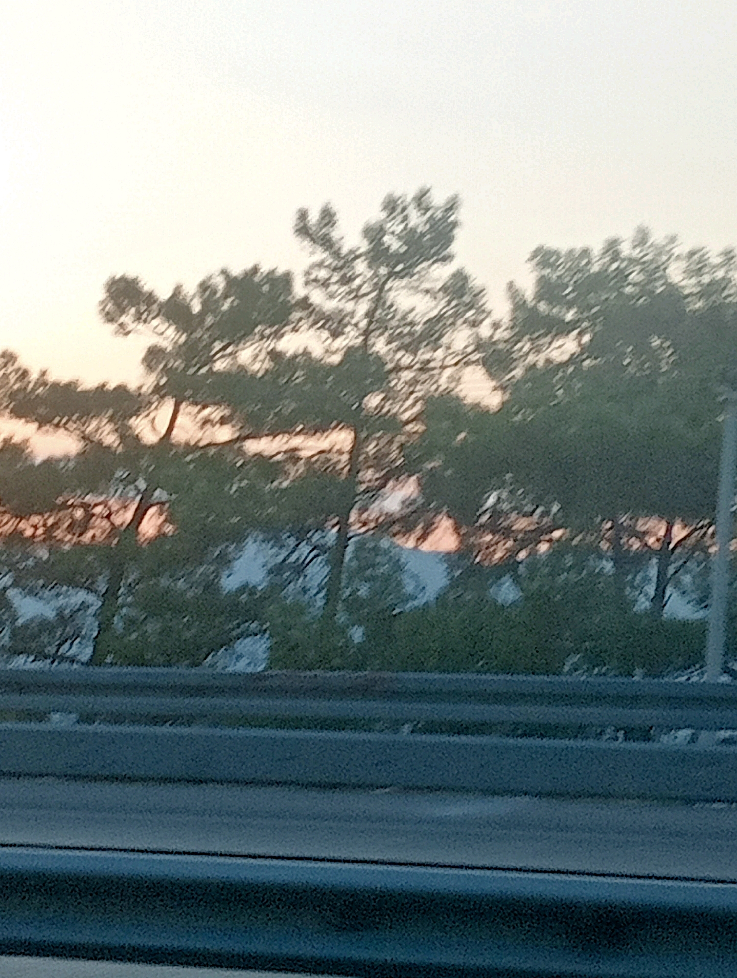 The image depicts a view of pine trees against a hazy sky, likely at sunset or sunrise, as indicated by the soft, warm light filtering through the foliage. The trees are silhouetted, with their dark green needles creating a textured canopy. Below the trees, there appears to be a natural landscape, possibly a hillside or a forest floor, with lighter patches suggesting open areas or sunlight. In the foreground, there are dark, horizontal structures that resemble barriers or fences, possibly part of a roadside or an elevated platform. The overall impression is one of a natural setting observed from a distance, with hints of human infrastructure present. This scene is likely located in the vicinity of Kumluca, Turkey, a region known for its pine forests and coastal landscapes.