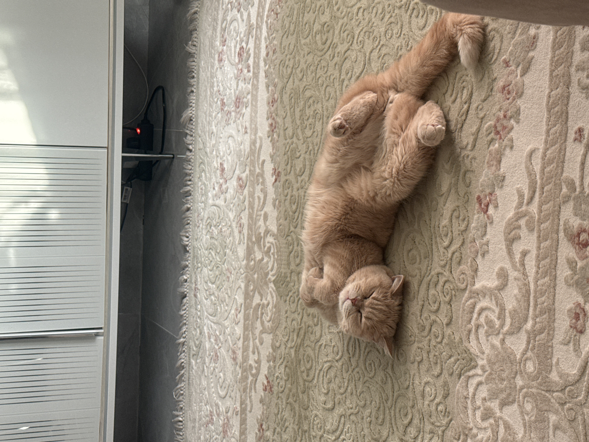 A light orange cat lies on its back on an ornate rug, with its feet curled up. The rug is predominantly beige with a raised, swirling pattern and faint floral accents in light pink. To the left of the rug, a white cabinet with horizontal grooves is visible. Behind the cabinet, a power strip with a red light sits on a shelf against a grey wall.