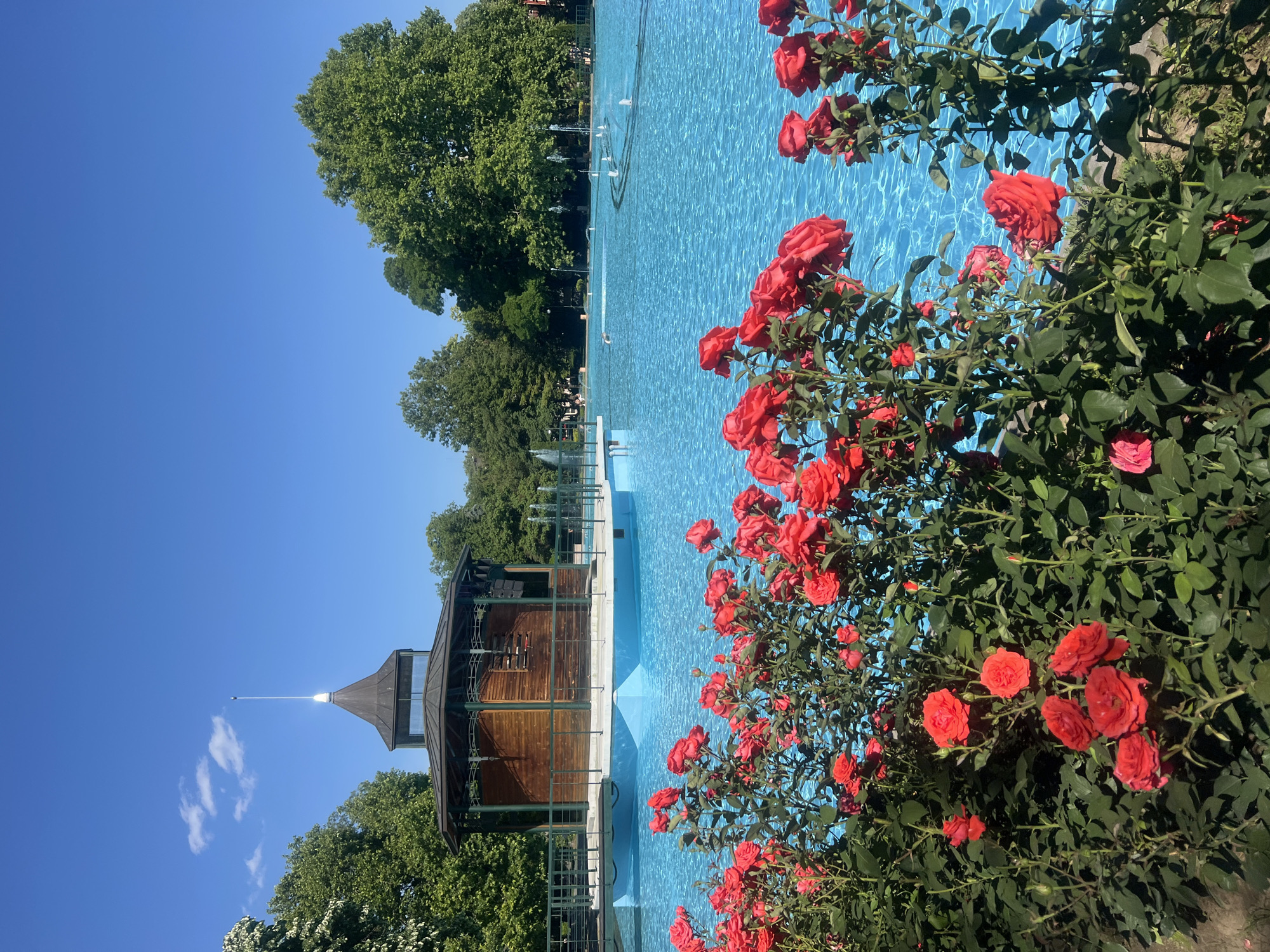 The image shows a scene in Plovdiv, Bulgaria, featuring the Tsar Simeon Garden. A light blue fountain is partially visible, and a wooden pavilion with a black roof and spire stands beside the water. Red roses are prominent in the foreground. Green trees border the scene, and a clear blue sky fills the background. No people are visible in the frame.