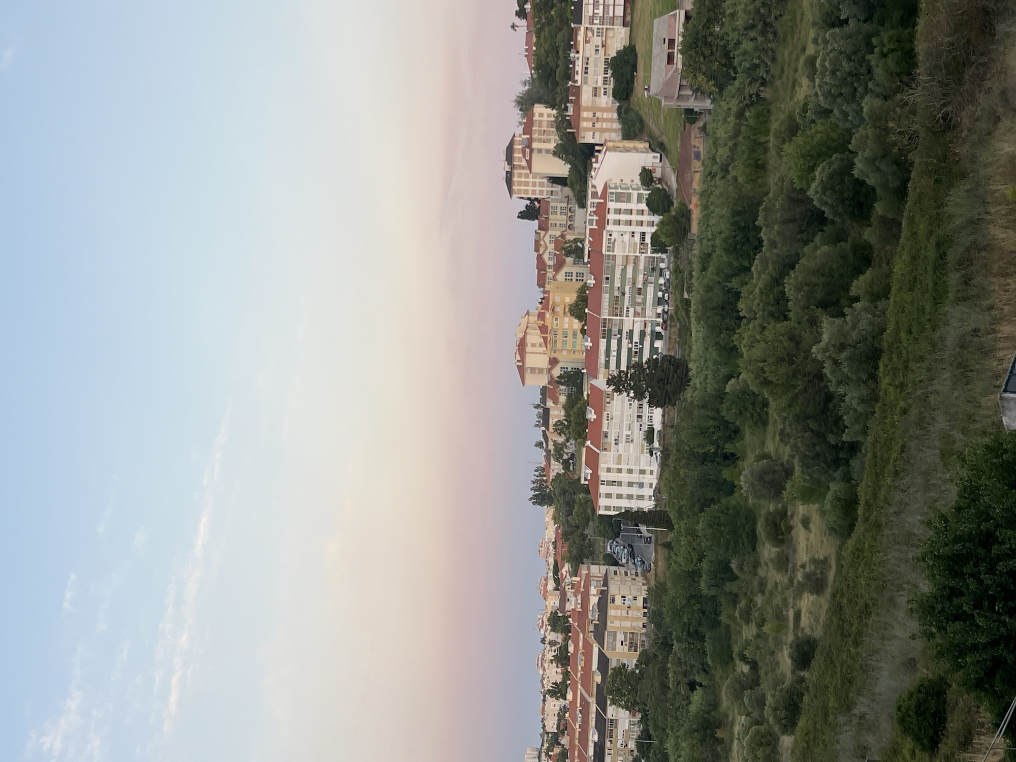 The image captures an urban landscape under a soft, dusky sky, with hues of pale blue transitioning to a gentle pink. In the mid-ground, a collection of residential buildings with orange-tiled roofs dominates the scene. These buildings vary in height and architectural style, with some featuring balconies and numerous windows. The foreground is characterized by a dense growth of green trees and vegetation, creating a natural buffer between the viewer and the built environment. A road with several parked cars is visible winding through the buildings, indicating the presence of an active residential area. The overall impression is of a calm, suburban setting within the city of Cascais, Portugal, likely captured during either sunrise or sunset due to the atmospheric lighting. No people are visible in the image.