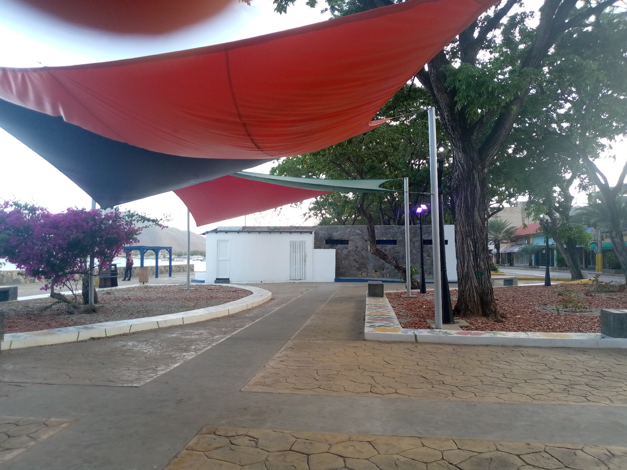 The image captures an outdoor public space with a prominent presence of large, draped fabric awnings, one primarily red and another black, overhead. The ground is paved with textured concrete sections, varying in pattern and color. To the left, a vibrant purple flowering tree stands near the water's edge, adjacent to a rocky embankment. Further along the embankment, a white building with doors is visible, and beyond that, a blue gazebo-like structure. To the right, a large tree with a thick, textured trunk dominates the scene, with its branches reaching towards the sky and foliage interspersed with sunlight. The background reveals more trees, some buildings with colorful facades, and a body of water, possibly a harbor, with boats. The overall impression is a seaside promenade or park area, likely in a warm climate, given the vegetation and open-air design.