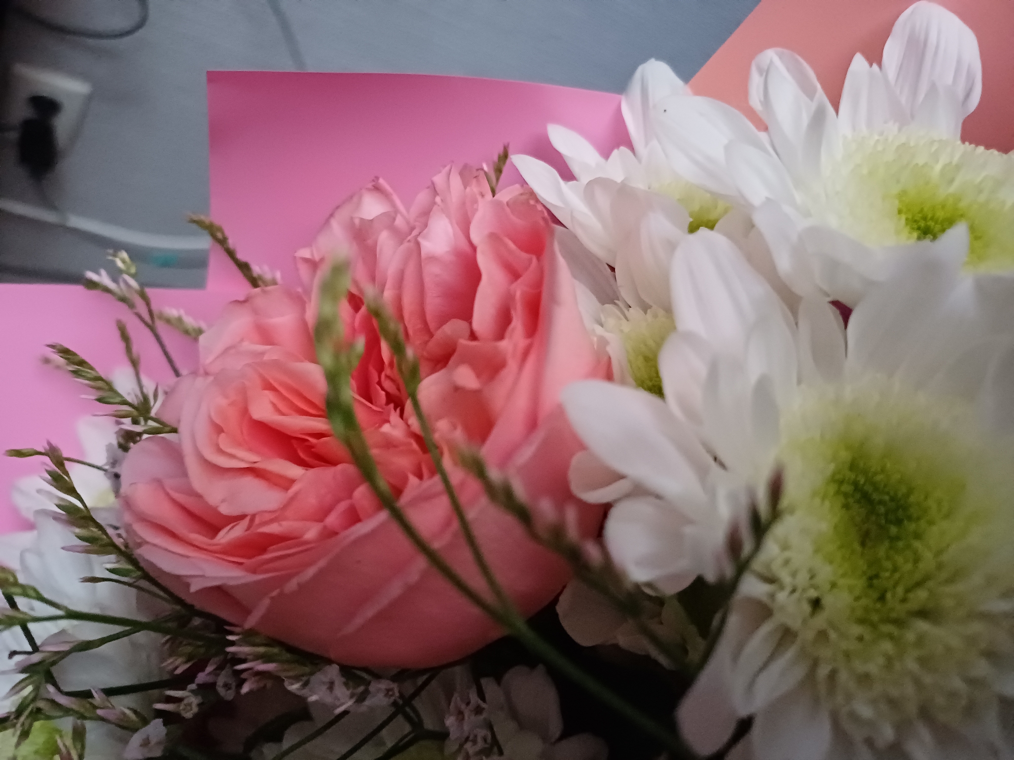 A close-up shot features a bouquet of flowers, primarily a large pink rose and several white chrysanthemums. The rose, in the foreground, is a soft pink with tightly packed petals, showing depth and texture. The chrysanthemums, to the right, are white with light green centers, their petals appearing delicate and layered. Thin green stems and wispy sprigs of greenery are interspersed throughout the bouquet, adding a touch of natural detail.
Behind the flowers, a bright pink surface forms the background, with a darker pink or peach-colored surface angled behind it. To the far left, a blurry gray object with a black plug and a white outlet is visible, suggesting an indoor setting. The lighting is soft, highlighting the textures of the flowers and creating a gentle mood. There is no discernible activity or event taking place beyond the arrangement of the flowers themselves. The image is devoid of any visible text. The overall impression is one of floral beauty and gentle composition.