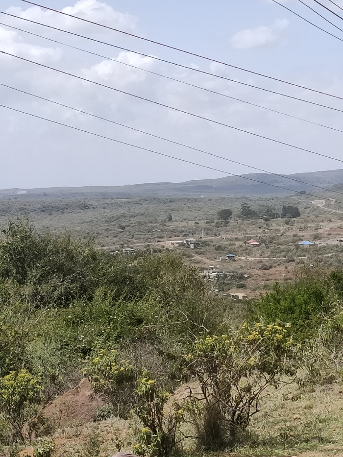 Hilly landscape with scattered vegetation and a few visible structures, possibly dwellings, nestled within. Overhead power lines stretch across the sky. The sky itself is overcast with a light, hazy quality. In the foreground are bushes and sparse grasses on a slope, suggesting a dry or semi-arid environment. A faint mountain range is visible on the horizon.
