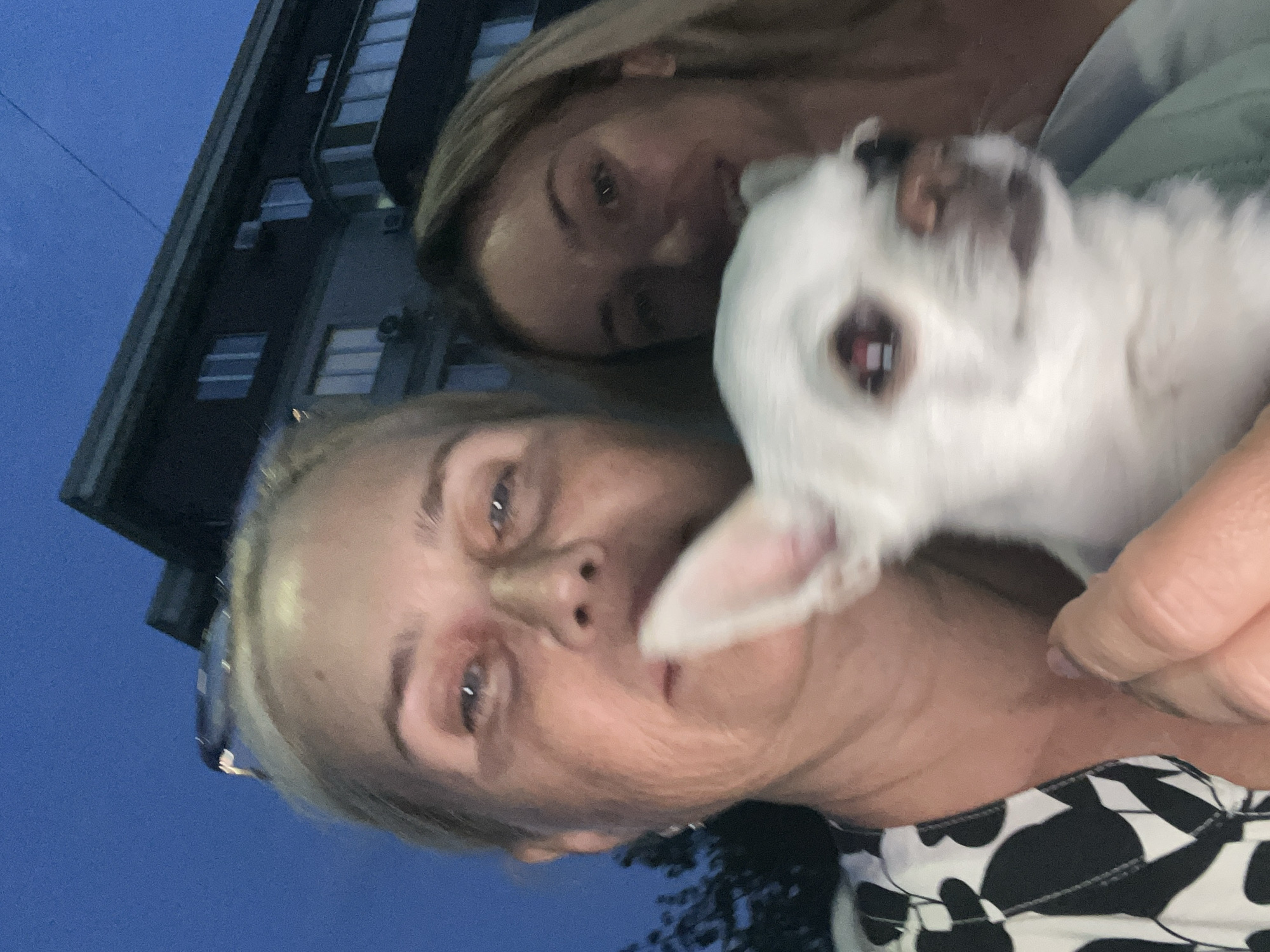 In Kryzhanivka, Ukraine, at dusk, a selfie is taken featuring three subjects: a woman in the foreground on the left, a white chihuahua in the center, and another woman in the background on the right. The woman on the left has blonde hair and is wearing a black and white patterned shirt. She is holding the dog, which is positioned prominently in the foreground. The second woman, with blonde hair, is visible behind the dog. They are standing in front of a multi-story building with visible windows, under a deep blue twilight sky. The building appears to be residential. The overall scene is casual, suggesting a personal moment captured outdoors.