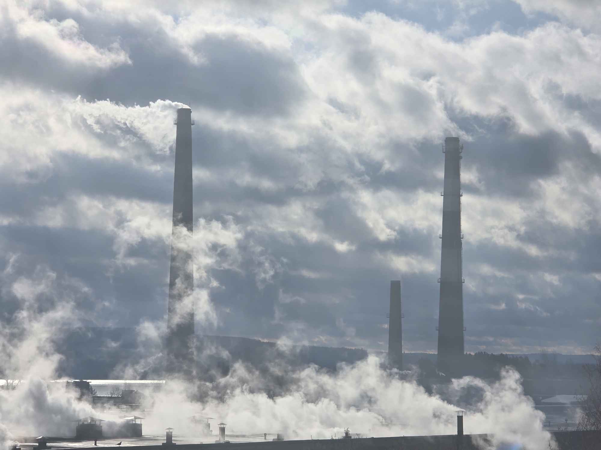This image captures an industrial landscape, likely a power plant or factory, under a cloudy sky in Chaikovsky, Russia.
**Subjects:** The primary subjects are three tall, slender industrial chimneys (smoke stacks) that pierce the skyline. The leftmost chimney is actively emitting a large plume of white smoke or steam that billows upwards, merging with the clouds. A second, equally tall chimney stands on the right side of the frame, while a smaller, third chimney is visible further in the background. In the foreground, the rooftops of industrial buildings are visible, dotted with numerous smaller vents and chimneys that are also actively releasing substantial amounts of white steam, creating a dense, ground-level mist. A small, dark-colored bird, possibly a pigeon or seagull, is perched on one of these foreground rooftops.
**Activity or event taking place:** The scene depicts ongoing industrial activity, characterized by the emission of large volumes of smoke or steam from multiple factory chimneys and vents.
**Notable details:** The time of day appears to be daytime, under heavily overcast or partly cloudy conditions, as indicated by the diffused lighting and the varied shades of grey and white in the sky. The significant amount of visible steam suggests cold ambient temperatures. The sky is filled with thick, turbulent clouds, which partially obscure the tops of the chimneys and blend with the emitted plumes. No visible text is present in the image. The overall impression is one of a busy industrial site contributing to atmospheric emissions.
