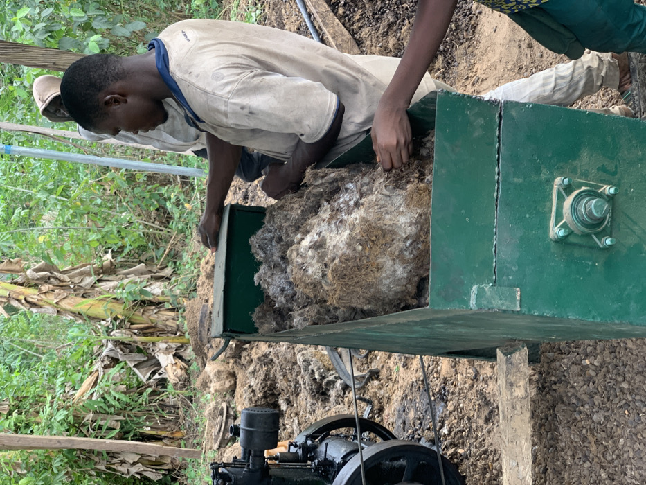 The image shows two men in Egbeda, Nigeria, at the coordinates 7.12 latitude, 5.362 longitude, loading a large, green, metal hopper with a mass of brown fibrous material. The man closest to the camera is leaning into the hopper with his left hand holding a piece of the material while his right hand is resting on the top of the hopper. The other man, partially obscured, is standing behind him, looking at the material in the hopper. The hopper is attached to a dark-colored, industrial machine that is visible in the lower portion of the image. The ground surrounding the machine and the hopper is covered in a layer of dry, brown, fibrous material. Thick vegetation fills the background. The image appears to show a process of agricultural production, with the fibrous material likely being a type of crop residue or fiber that is being processed by the industrial machine.