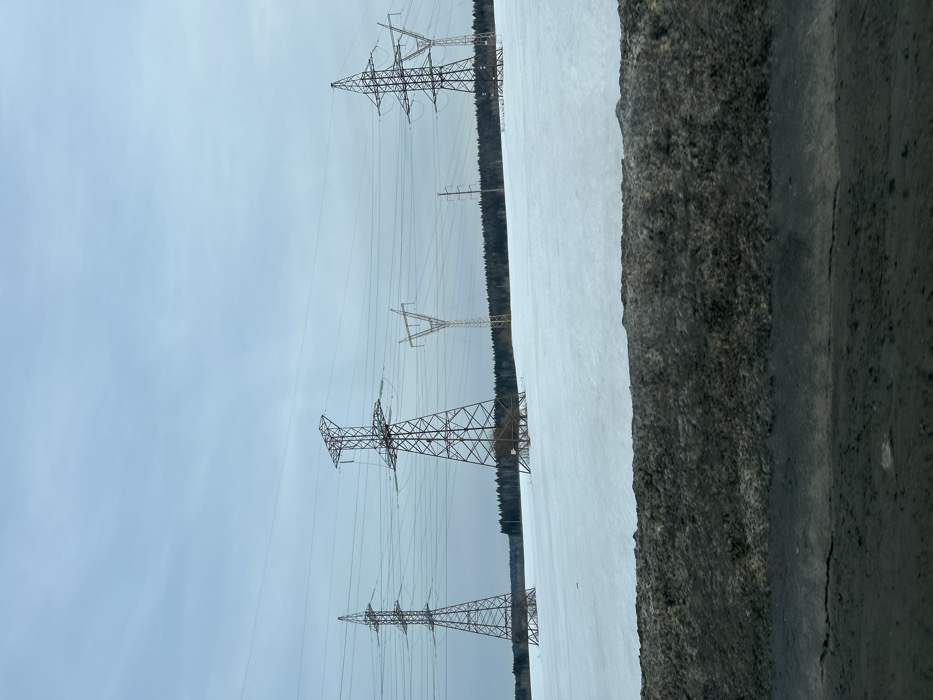The image displays a static winter landscape in Bol'shaya Mos', Russia, under an overcast, light grey sky. The foreground consists of a dark, textured, snow-dusted road shoulder. Beyond this, a vast, flat field covered in undisturbed white snow extends towards the horizon. Embedded within this snow-covered field are at least five electrical transmission towers (pylons) of varying lattice-steel designs and heights. Multiple power lines are visible extending horizontally between and connecting these structures. A dark, dense line of coniferous trees marks the distant horizon, bordering the field. No individuals, animals, or active movements are discernible within the scene. The overall color palette is dominated by whites, greys, and muted greens/browns from the distant forest.