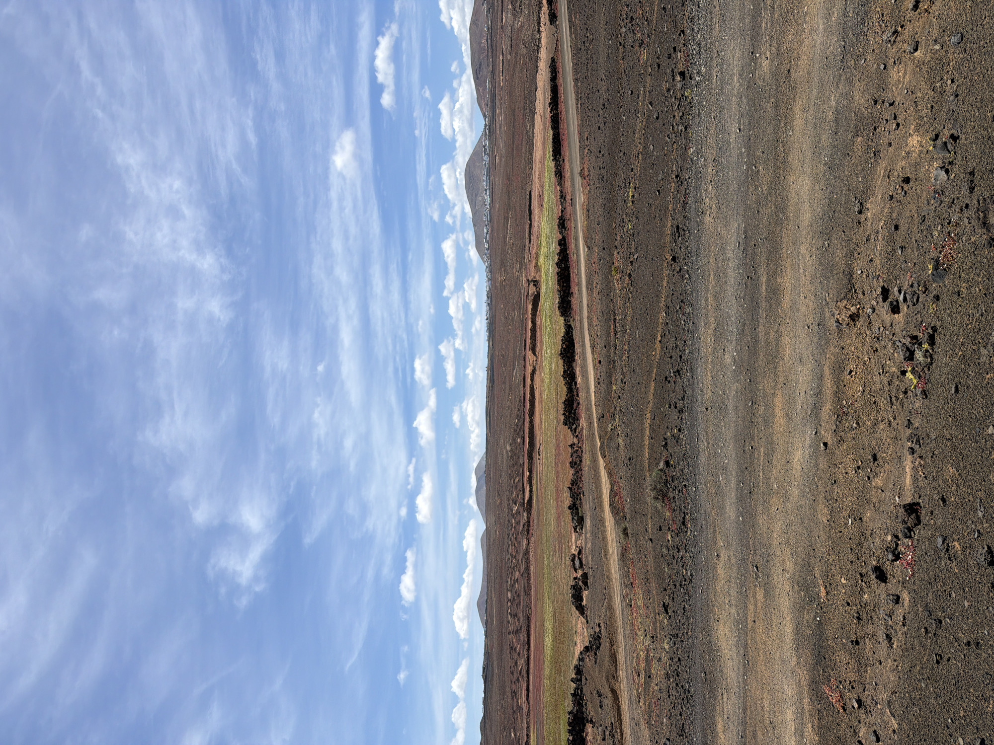 The image depicts a landscape in Tinajo, Spain, characterized by a striking contrast between the sky and the earth. The sky is a light blue, filled with wispy cirrus clouds. The terrain is volcanic with a dark, rocky texture, transitioning into a lighter shade with a narrow strip of green vegetation separating them. The presence of a dirt road cuts through the terrain. In the background, the silhouettes of mountains are visible. No people or animals are observed in the image.