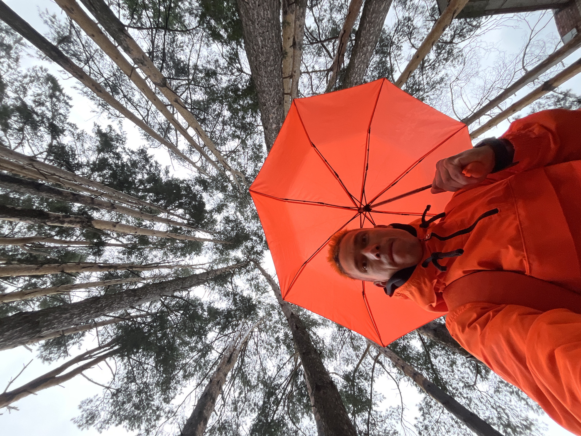 An extreme low-angle, full-body shot captures a person holding an open, bright orange umbrella above their head in what appears to be a forest or wooded area with tall trees. The person, whose face is visible and looking directly at the camera, is wearing an orange hooded jacket. The camera angle looks upwards towards the sky through a dense canopy of pine trees, with their branches and trunks dominating the upper portion of the image. The lighting is overcast and diffused, suggesting a cloudy or overcast day. The scene is likely outdoors, possibly in Chaikovsky, Russia, given the context of the question.