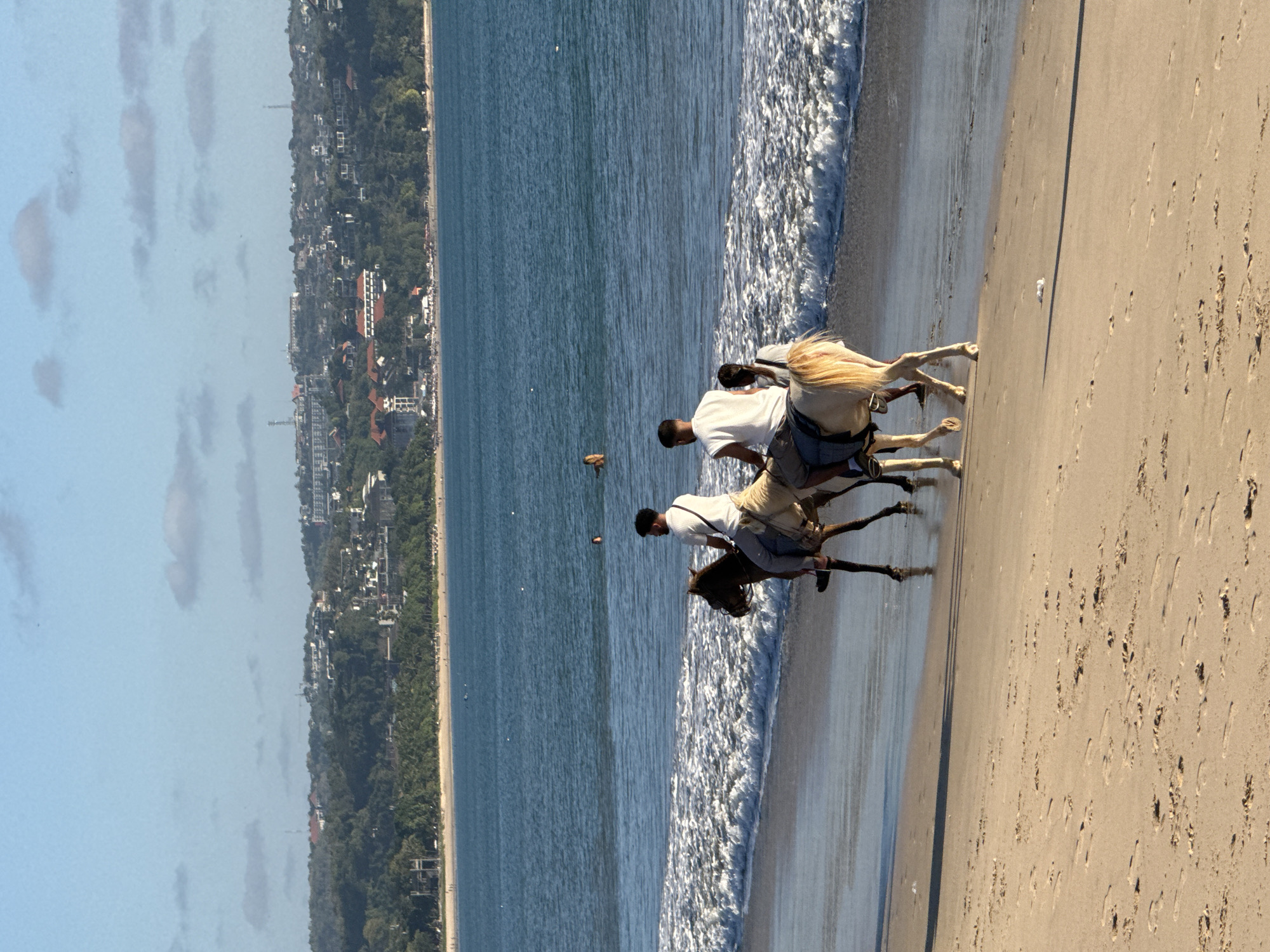 The image captures a serene daytime scene of two individuals horseback riding along a sandy beach in Kuta, Indonesia. Two men, both wearing light-colored shirts and dark trousers or shorts, are mounted on two horses. One horse is light-colored with a prominent blond tail, while the other is a darker brown. They are moving parallel to the shoreline, wading through the shallow water where gentle waves break onto the golden-brown sand.
The wide sandy beach, covered with numerous footprints and horse tracks, stretches to the right of the riders. To their left, the vast blue ocean extends, glistening under the bright sunlight. In the background, a verdant coastline rises, densely covered with trees and punctuated by numerous buildings, likely hotels or resorts, indicating a developed area. The sky above is a clear, light blue with several scattered white clouds. The bright and clear lighting suggests it is either morning or late afternoon, contributing to a peaceful and recreational atmosphere. No text is visible in the image.