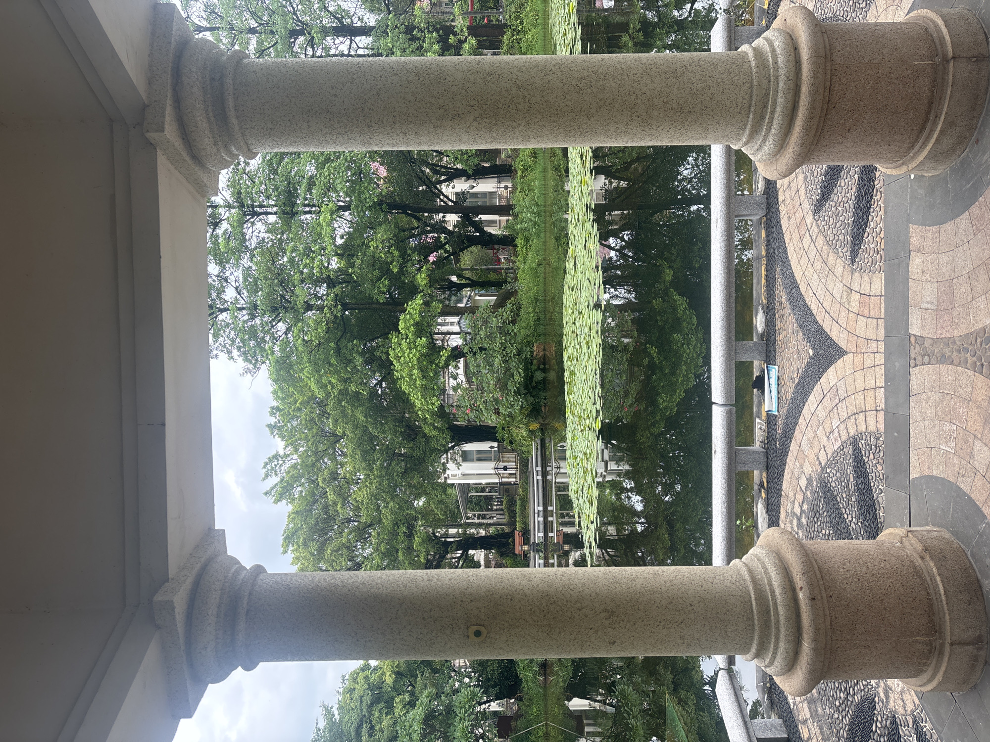 This image shows a serene view of a pond surrounded by lush greenery and architectural elements, located in Nanhai District, China. Two prominent stone pillars frame the foreground, suggesting a portico or gazebo overlooking the water. The pond is partially covered with lily pads, and its surface reflects the surrounding trees and buildings. In the background, a white building with traditional Chinese architectural features can be seen amidst the dense foliage. The ground in front of the pillars is paved with a decorative mosaic of pebbles, forming geometric patterns. The overall atmosphere is tranquil and picturesque, indicative of a well-maintained park or garden.