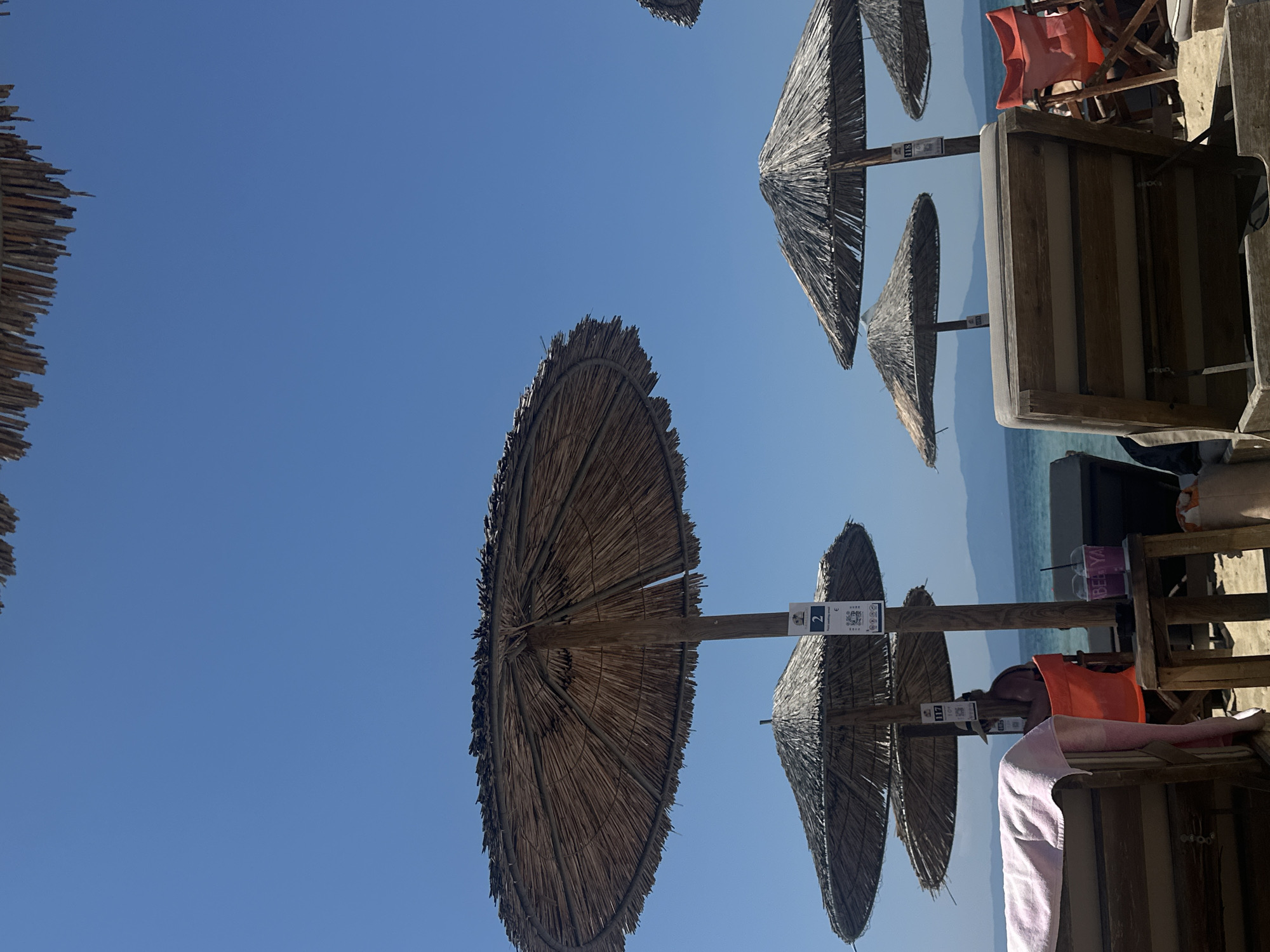 The image depicts a sunny day at Ofrynio Beach, Greece, with several thatched umbrellas providing shade over lounge chairs on the sand. The sky is a clear, vibrant blue. In the foreground, two wooden lounge chairs are visible, one with a pink towel draped over its arm. To the right of these chairs, a small wooden table holds two purple cups with straws. Behind the lounge chairs, several more umbrellas and chairs are arranged, with the ocean and distant mountains visible in the background. A person wearing a hat sits in an orange chair under one of the umbrellas. Signs are posted on the umbrella poles, one indicating "2" and "Sunbed rental" with a price in Euros. The overall scene suggests a relaxed atmosphere at a beach resort.