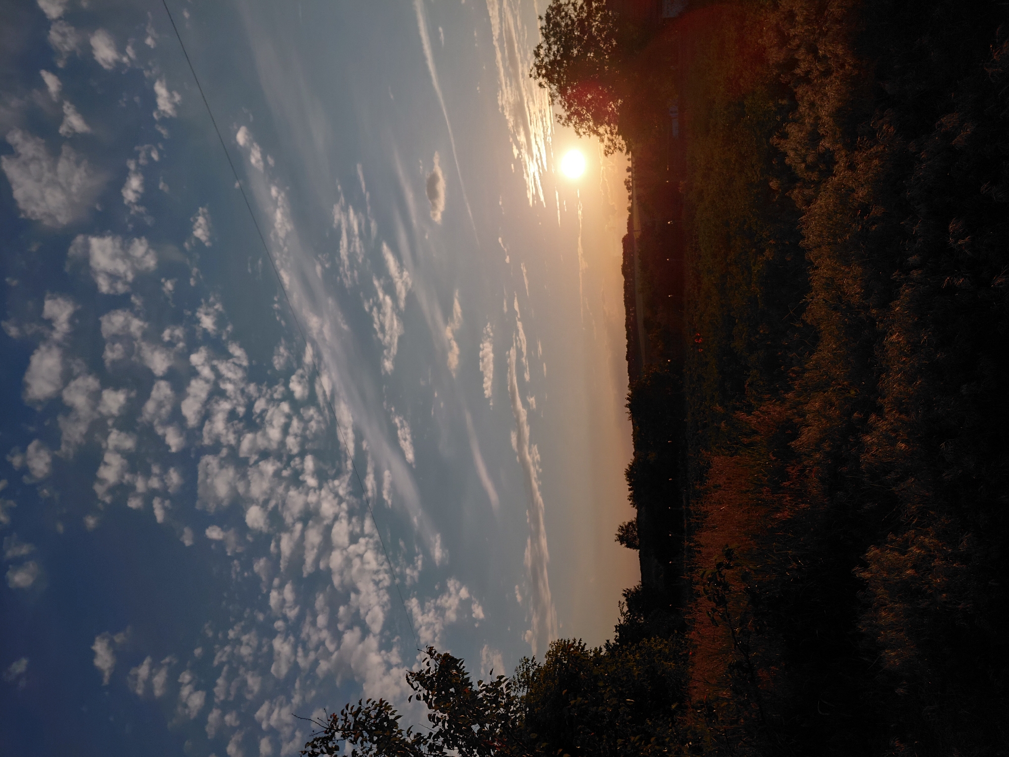 The image depicts a sunset scene in an outdoor, rural environment. The sky is a gradient of blue and orange, with scattered white clouds. A bright sun is visible near the horizon, casting a warm glow. Silhouetted against the sunset are trees, a distant treeline, and possibly some structures or vegetation in the foreground. The foreground is dominated by dark, shadowy plants, with some hints of dried grass illuminated by the setting sun. There are no people or discernible animals in the image. The overall impression is one of a tranquil, natural landscape at dusk.