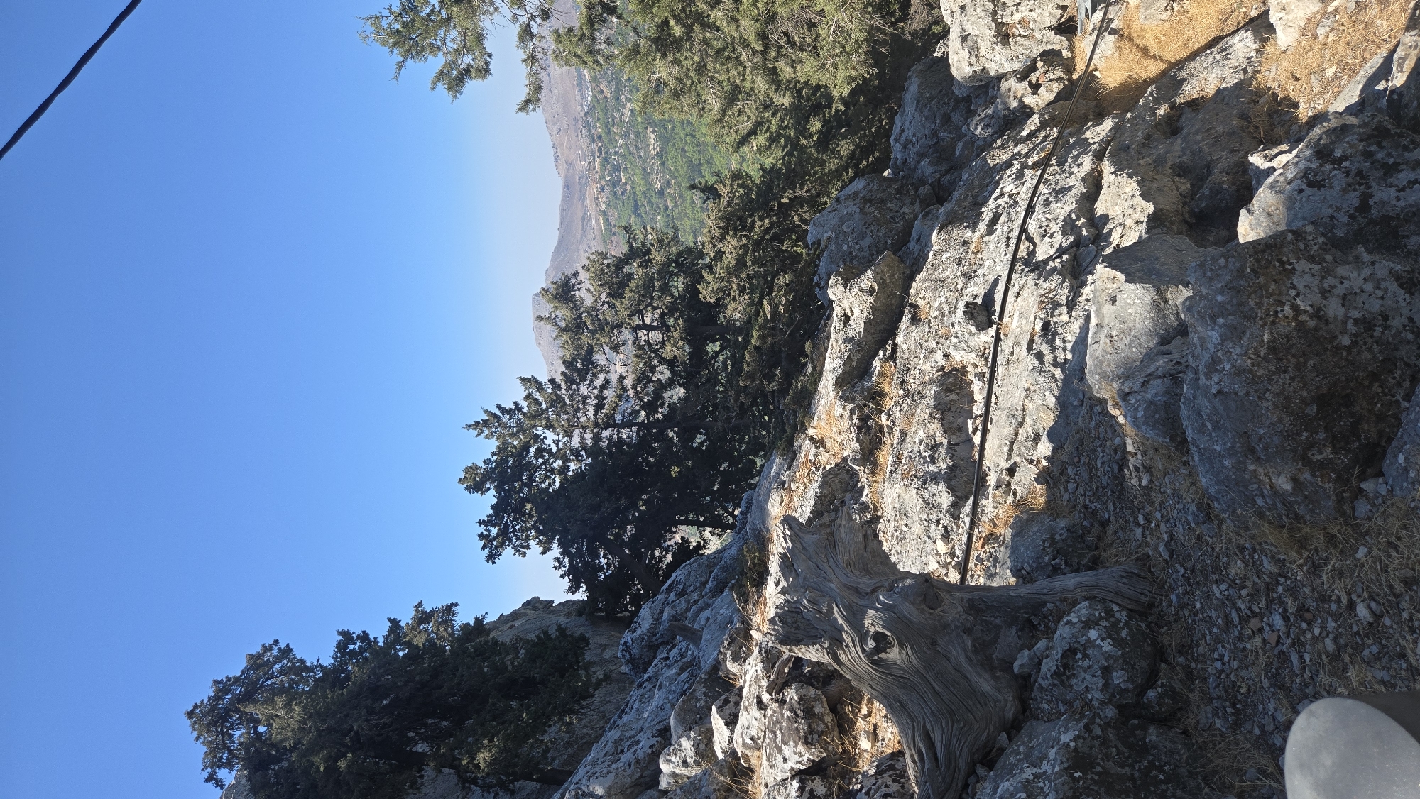 A rocky mountainside with sparse vegetation and trees overlooks a verdant valley with a town in the distance, under a clear blue sky. The foreground is dominated by large, weathered rocks and a twisted, ancient-looking tree trunk in the lower left. Several evergreen trees are scattered across the rocky terrain and further down into the valley. In the distance, hills rise, with a small settlement nestled within the green expanse of the valley. The overall impression is one of a rugged, natural landscape.