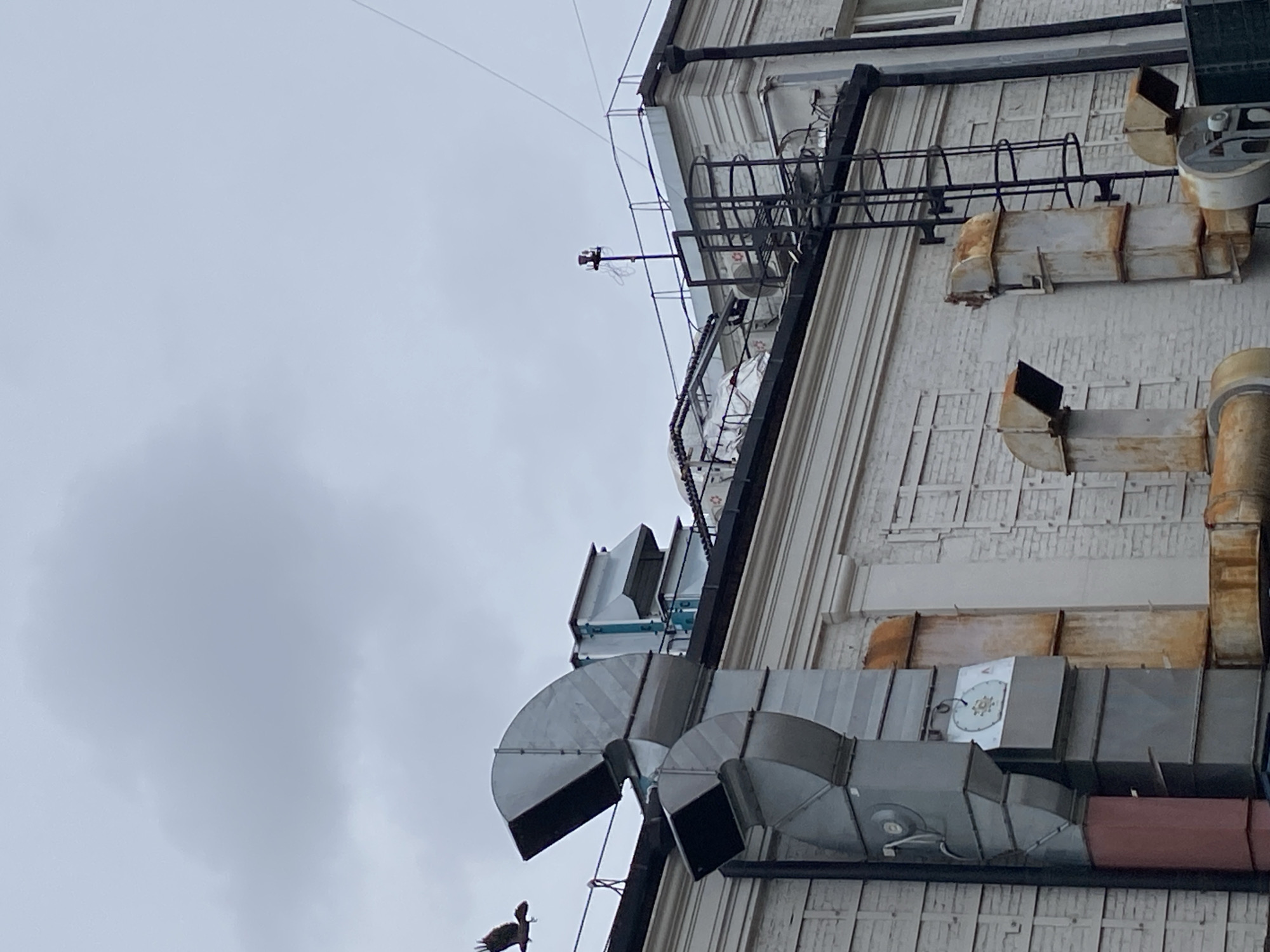 This image presents a low-angle view of the upper facade of a building, located in Moscow, Russia, set against an overcast, grey sky. The building itself is light-colored, possibly white brick or stucco, with architectural relief details, and shows considerable signs of age and weathering.
The scene is dominated by a complex network of industrial infrastructure attached to the building. Prominent subjects include extensive metal ductwork and ventilation systems, varying in shape from large rectangular sections to semi-circular vents. Many of these metal components exhibit significant rust and corrosion, indicating their age and exposure to the elements. Black metal structures, resembling safety ladders or maintenance cages, are also visible, running along parts of the building.
A small, light-colored device, possibly a security camera or environmental sensor, is mounted on a slender black pole extending from the building's edge into the open sky. Thin wires or cables crisscross the upper part of the frame. Towards the bottom left, a dark bird, likely a crow or raven, is perched on one of the larger duct structures. On one of the rectangular ducts, a white sticker featuring a distinct circular logo or symbol, patterned with yellow/orange and black elements, is visible.
The weather is cloudy and grey, suggesting an overcast daytime without direct sunlight. There are no people visible, and the overall impression is one of a functional, urban, and somewhat aged industrial or commercial structure.