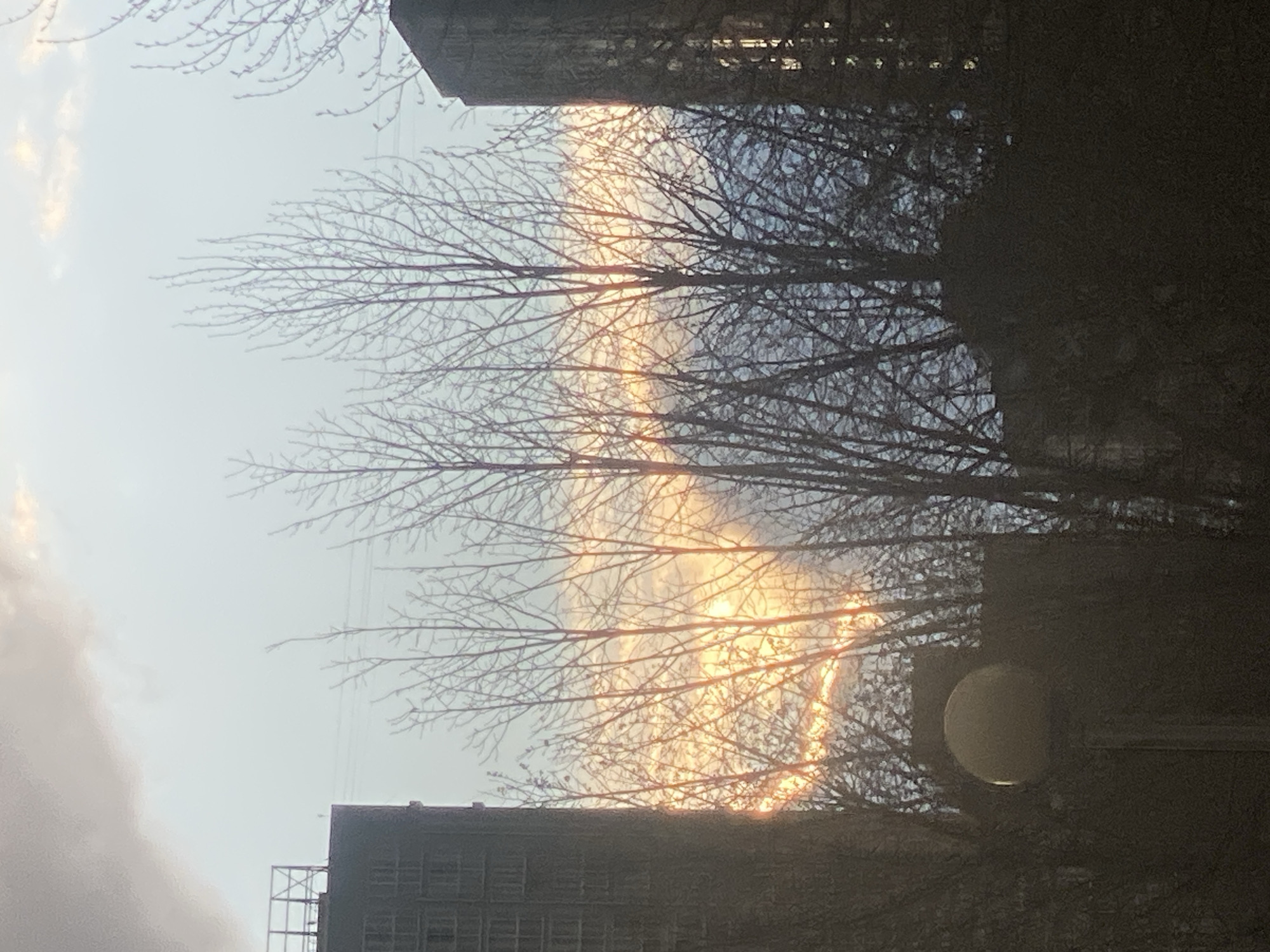 The image depicts a partial halo around the sun, observed through bare tree branches. The branches are silhouetted against the bright halo, suggesting it's late autumn or winter. The image includes buildings in the periphery, indicative of an urban environment, with one building visible on the lower left with visible grid-like windows and another above the trees. A rounded light fixture is located on the right, near the tree line. The sky is pale blue, with clouds visible on the left side. The time of day appears to be late afternoon or early evening, given the sun's position and the quality of light. Location is in the city of Unknown, Unknown.