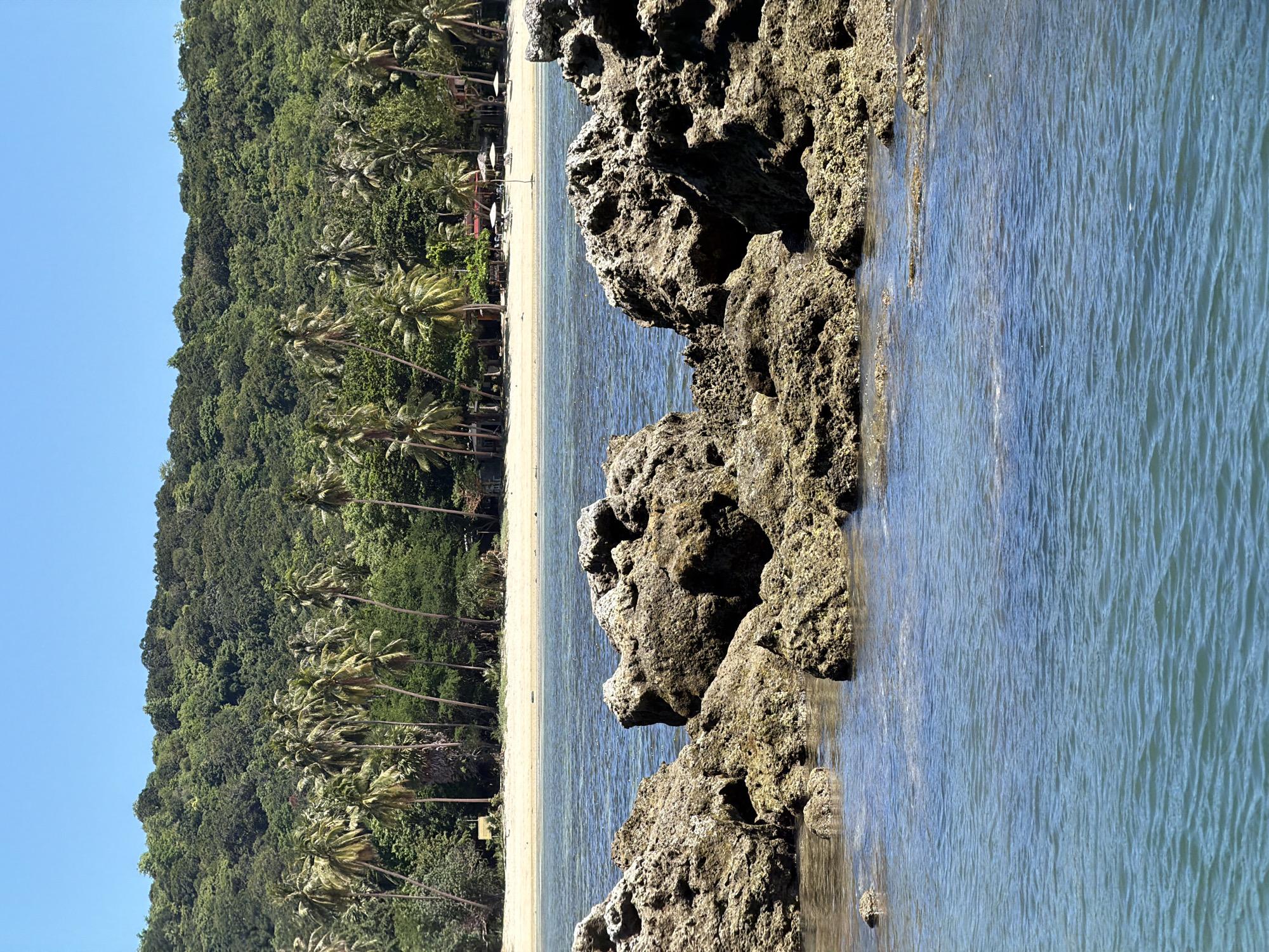 The image depicts a tropical coastline with a clear blue sky and lush green vegetation. In the foreground, weathered rocks emerge from the clear, turquoise water. Beyond the rocks, a sandy beach is visible, lined with numerous palm trees. The background is dominated by a dense, tree-covered hillside. A few small buildings and beach umbrellas can be spotted along the shoreline. The scene suggests a peaceful, natural environment. The image is taken in Baan Thong Krut, Thailand.