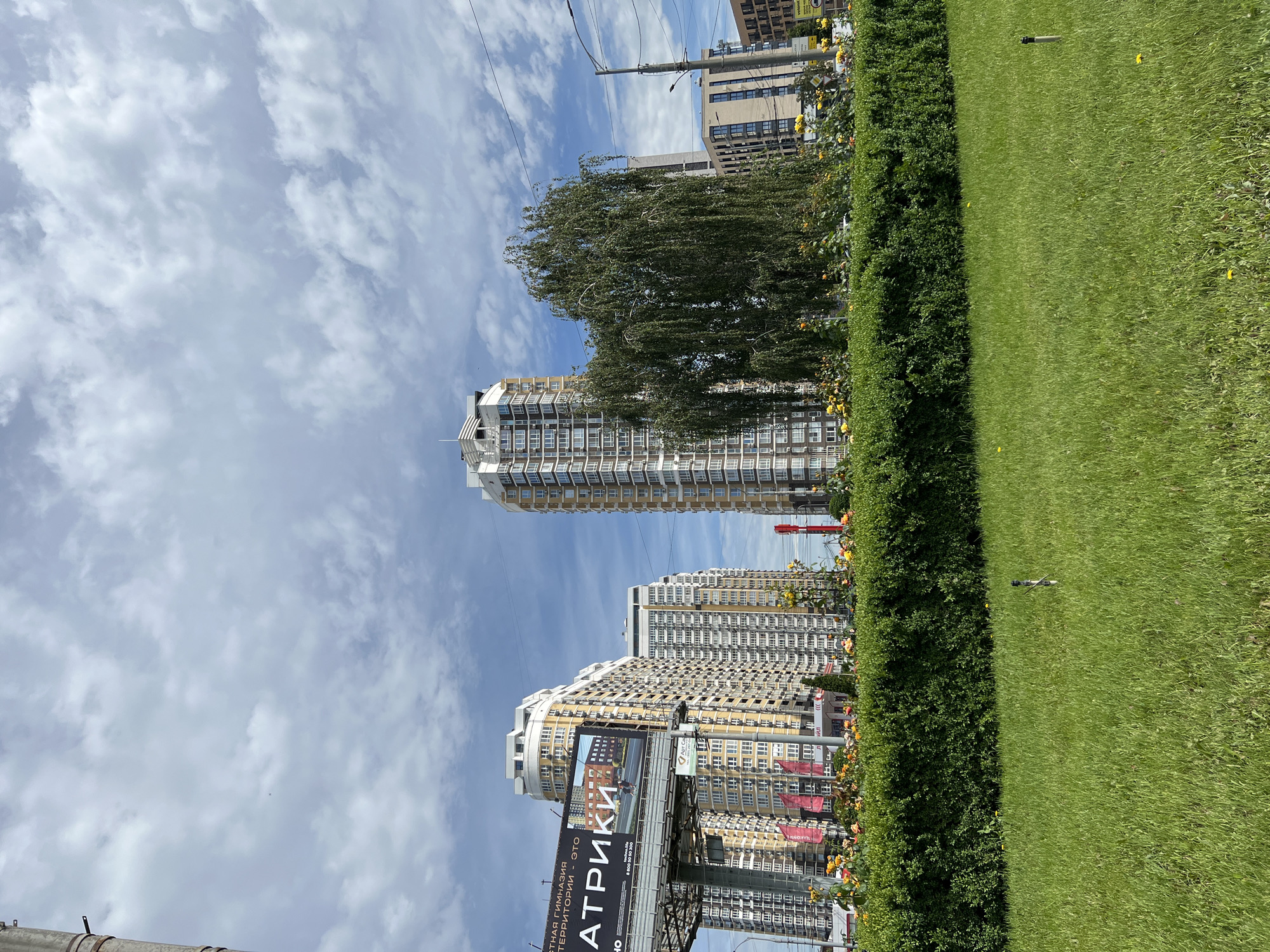 The original image is oriented vertically (rotated 90 degrees counter-clockwise). When viewed horizontally, it presents a daytime urban scene under a partly cloudy blue sky.
In the foreground, on the right, there is a wide, well-maintained strip of green lawn, featuring a few scattered yellow flowers and a small, dark cylindrical object, possibly a sprinkler head. This lawn is bordered on its left by a thick, neatly trimmed green hedge, which also has some yellow flowers.
Beyond the hedge, the midground is dominated by several modern, tall residential buildings with numerous windows and balconies, appearing to be light-colored (beige or off-white). A large tree with abundant, drooping foliage, possibly a weeping willow, stands prominently amidst these buildings. Utility poles and overhead wires are visible against the sky. A large billboard structure is positioned in front of some buildings.
The billboard displays Cyrillic text: "АТРИКИ" (ATRIKI) in large letters, with smaller text reading "ЖИЗНЕННАЯ ГИМНАЗИЯ" (LIFE GYMNASIUM) and "ЭТО ТЕРРИТОРИИ" (THIS IS TERRITORY). A partial company name "Art. G..." and a phone number "8 800 500 500" are also visible. Red flags or banners are present near the base of one building.
The background is a bright blue sky with scattered white cumulus clouds. The lighting suggests it is daytime, likely late morning or early afternoon. No people are visible. The scene depicts a modern urban environment in fair weather, with the Cyrillic text confirming its location in Russia, specifically Krasnodar.
