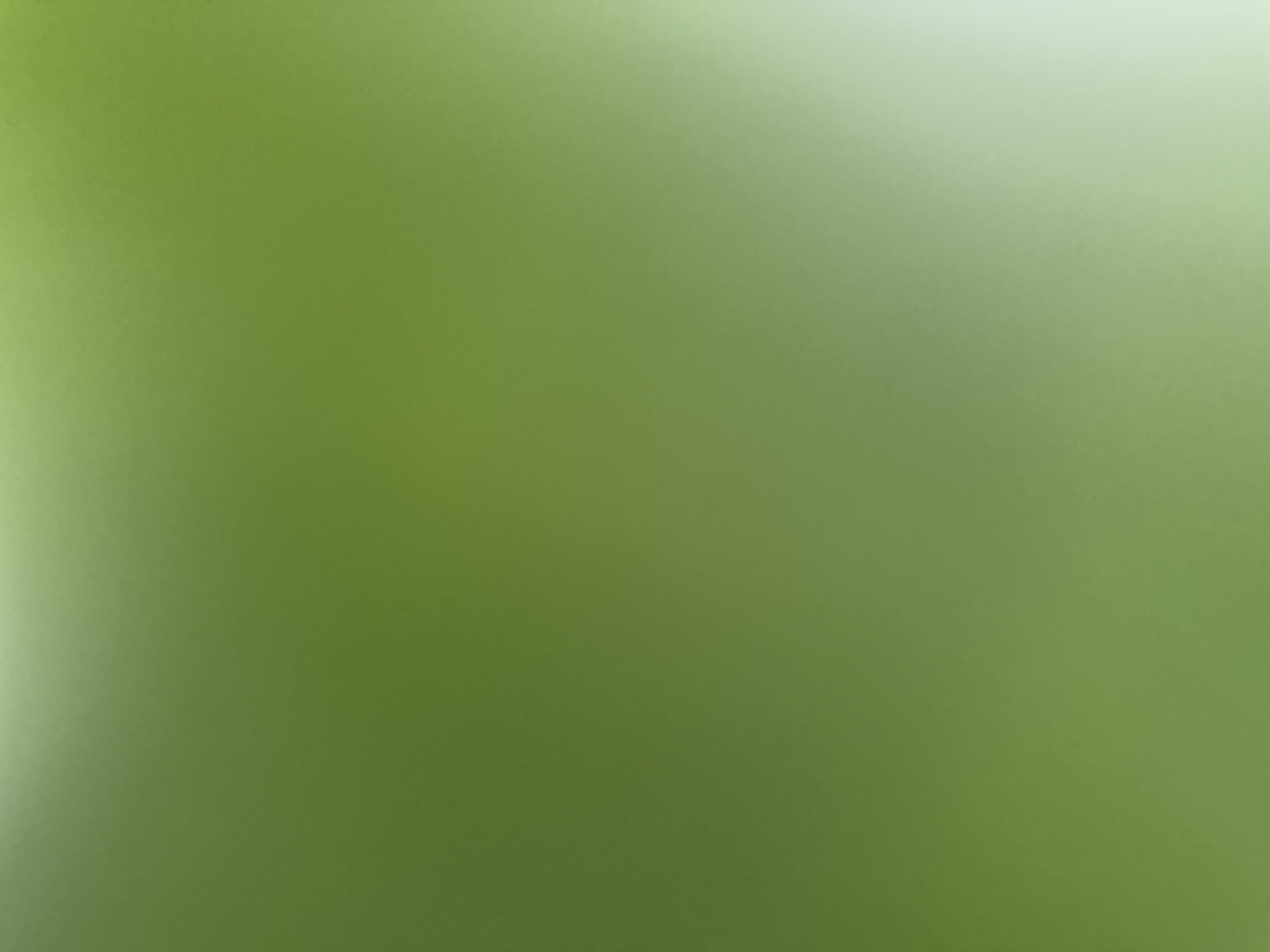 The media file is an abstract, out-of-focus image dominated by a soft, gradient of green. The green shifts from a brighter, almost yellowish-green on the left side to a deeper, more muted green towards the right. A faint, hazy light illuminates the upper right portion of the image, suggesting a gentle light source. The overall texture appears smooth with subtle speckling, possibly indicative of a matte surface or a slightly grainy photographic effect. There are no discernible subjects, objects, or specific scene elements; it is purely an abstract play of color and light. The lack of detail makes it impossible to determine any activity, time of day, weather, or specific location, other than the provided context of Belgrade, Serbia. No text is visible in the image.