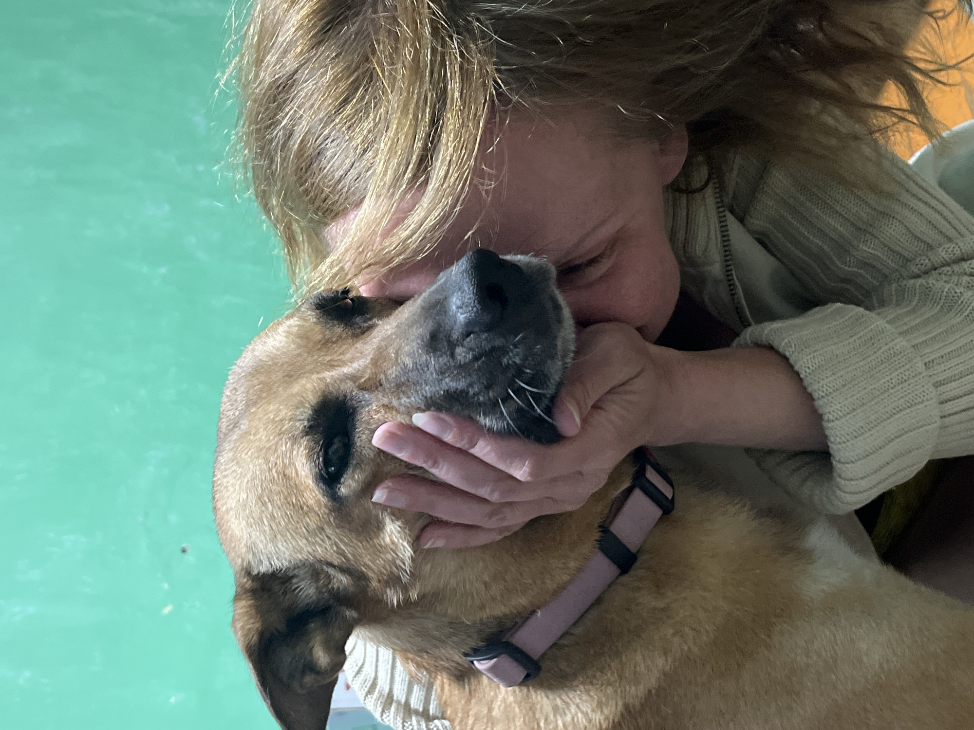 A close-up image shows a person kissing a dog on the side of its face. The dog, with brown fur and a pink collar, looks towards the camera with its eyes partially closed. The person's face is turned towards the dog, with their blonde hair covering part of their face. They are wearing a light-colored, ribbed sweater. The background is a plain green wall. The image appears to be taken indoors. No specific location in Nizhny Tagil, Russia, can be determined from the visual information.