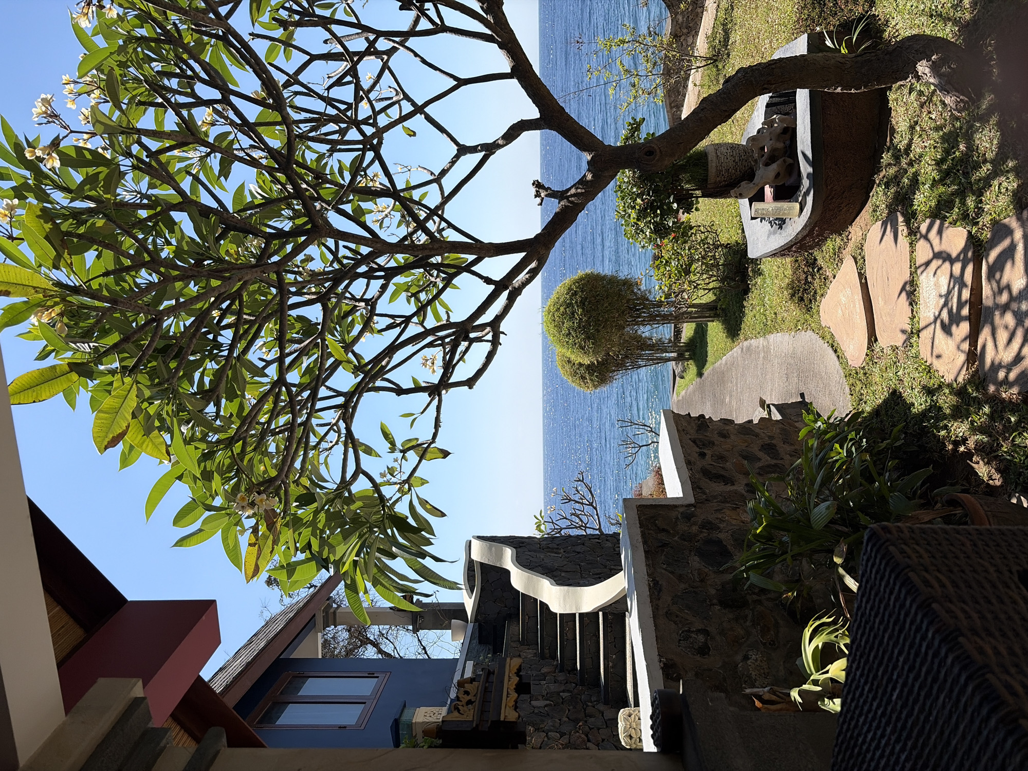 This is a photograph taken in Abang, Indonesia, of a scenic view of the ocean from a tropical resort. The scene is dominated by a large frangipani tree with green leaves and a few white flowers, positioned in the foreground on the right. The tree's branches create a natural frame for the ocean and sky.
To the left, a blue building with a dark roof and wooden-framed windows is visible, partially obscured by the frangipani tree. Adjacent to the building are stone stairs with a white, curved handrail, leading upwards. The stairs are built into a stone wall.
In the mid-ground, a paved pathway curves through a grassy area towards the ocean. Two spherical, trimmed bushes stand on the left side of the pathway. Further to the right, a decorative, boat-shaped water feature sits in the grass, containing some driftwood and a potted plant.
The background consists of the bright blue ocean, stretching to the horizon under a clear, blue sky. The sun is shining, creating a sparkling effect on the water. The overall impression is one of a peaceful, tropical getaway.