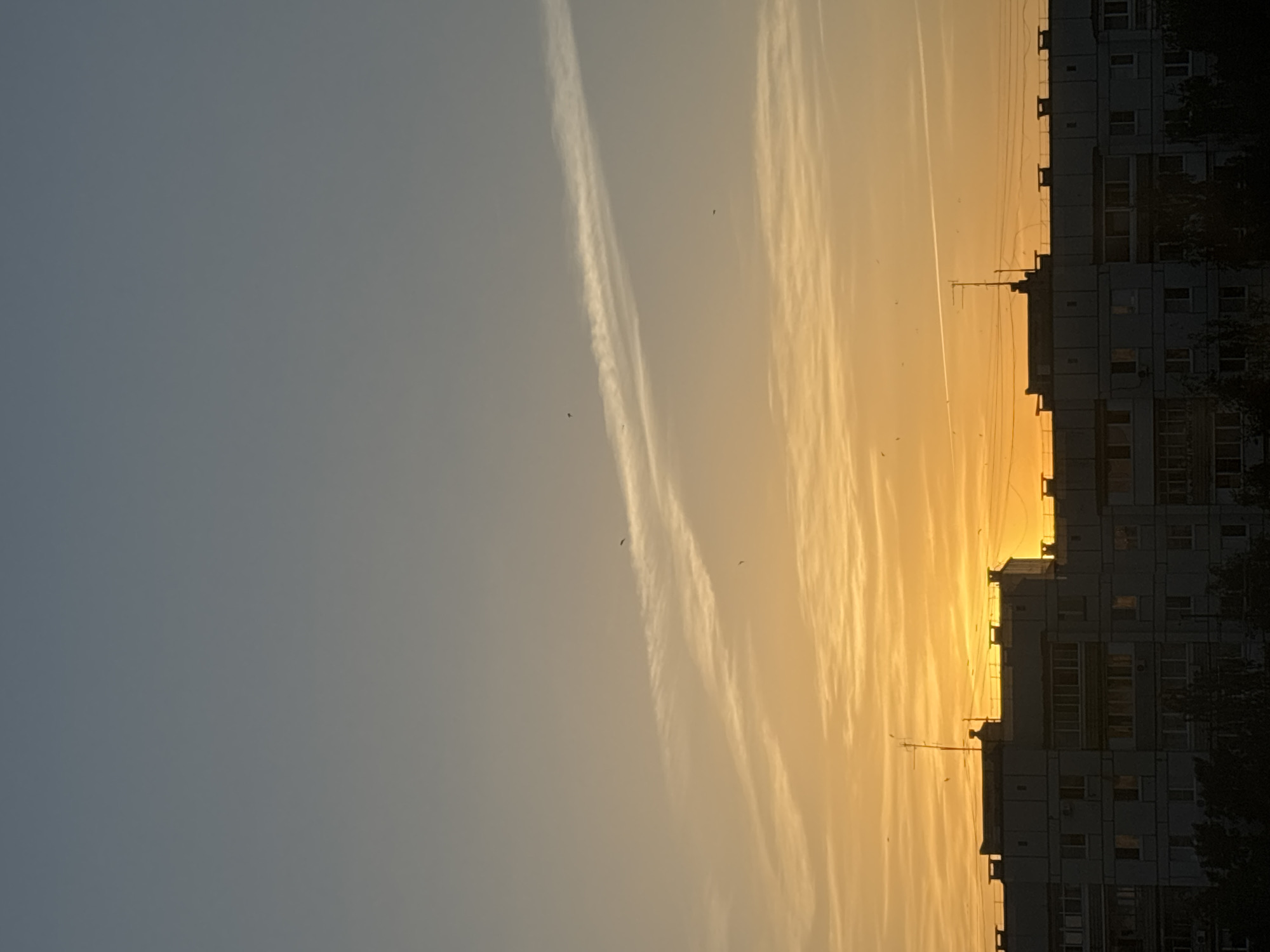 The image depicts a cityscape at sunrise or sunset. The sky is predominantly blue-gray on the left, transitioning to a golden hue on the right where the sun is setting or rising. Several contrails stretch across the sky. Birds are scattered throughout the sky. On the right side of the image, there is a tall apartment building with numerous windows. There are trees obscuring part of the building. The image is taken in the city of Unknown, Unknown.