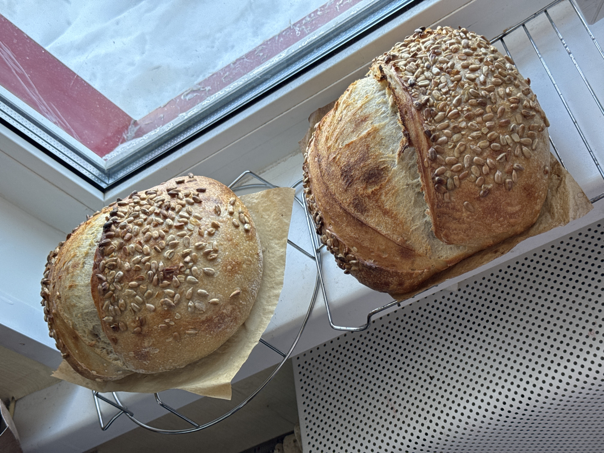 Two loaves of sunflower seed-crusted bread sit on wire racks next to a window. The bread on the right is larger and has a more pronounced crust. Both loaves rest on pieces of parchment paper. The background includes the window frame and a perforated white surface. There is no indication of location or people in the image.