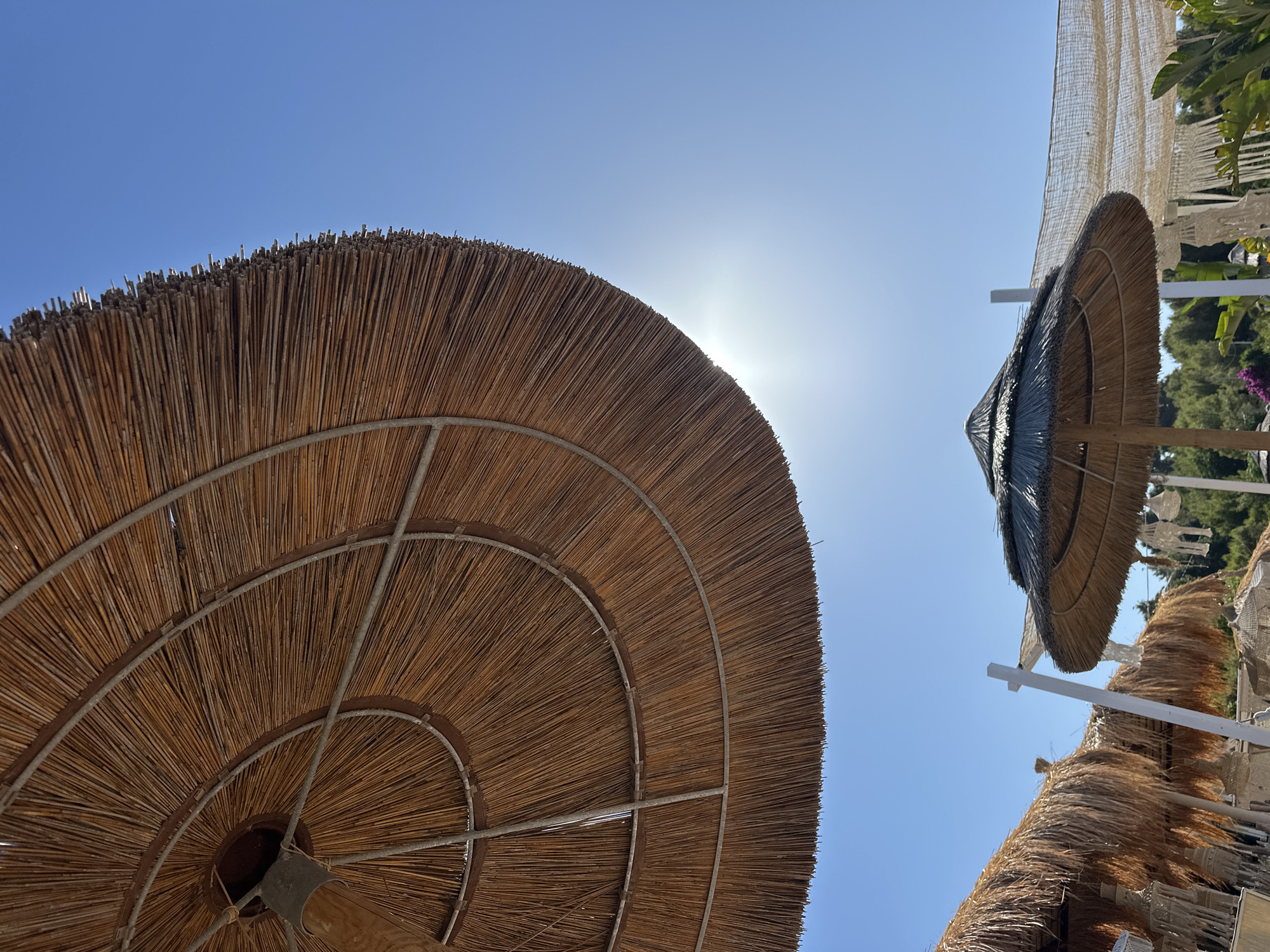 This low-angle, full-shot photograph captures a sunny day at a beach resort in Peschici, Italy. The foreground is dominated by the underside of a large, thatched umbrella made of reeds, its metal frame visible. The umbrella's texture is rough and natural, with individual reeds pointing outwards. Beyond this, the clear blue sky is a prominent feature, with the sun peeking through, creating a lens flare.
Further into the scene, other beach elements are visible. A smaller thatched umbrella, similar in style to the main one but darker in color, stands to the right of center. To the left, more thatched umbrellas and structures are partially visible, suggesting a row of them along the beach. These appear to be part of a beach club or resort, indicated by decorative macrame hangings and white wooden posts. In the background, lush green trees and foliage suggest the presence of vegetation beyond the immediate beach area. The overall impression is one of a serene, sun-drenched beach setting.