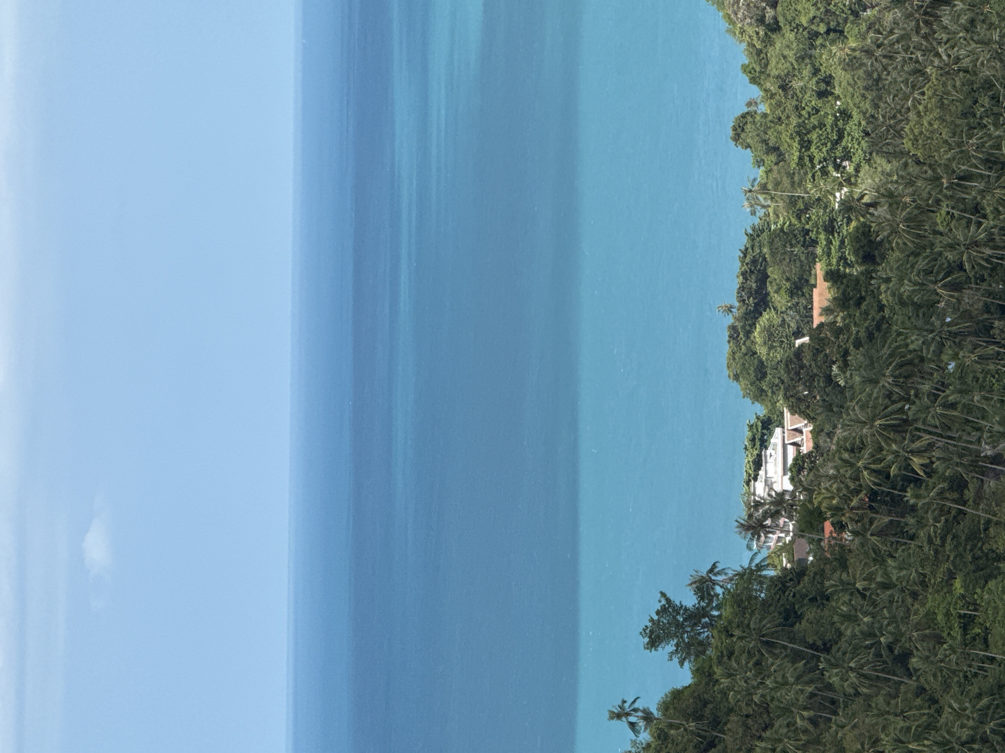 A landscape photo shows a view of the ocean and forested coastline of Ko Samui, Thailand. The image is oriented vertically, with the sky and ocean occupying the left and center and the coastline, houses, and trees on the right. The sky is a light blue, transitioning to a darker blue ocean. A segment of the coastline is covered with trees and foliage. Among the greenery are a few houses with white or light-colored walls and red-tiled roofs.