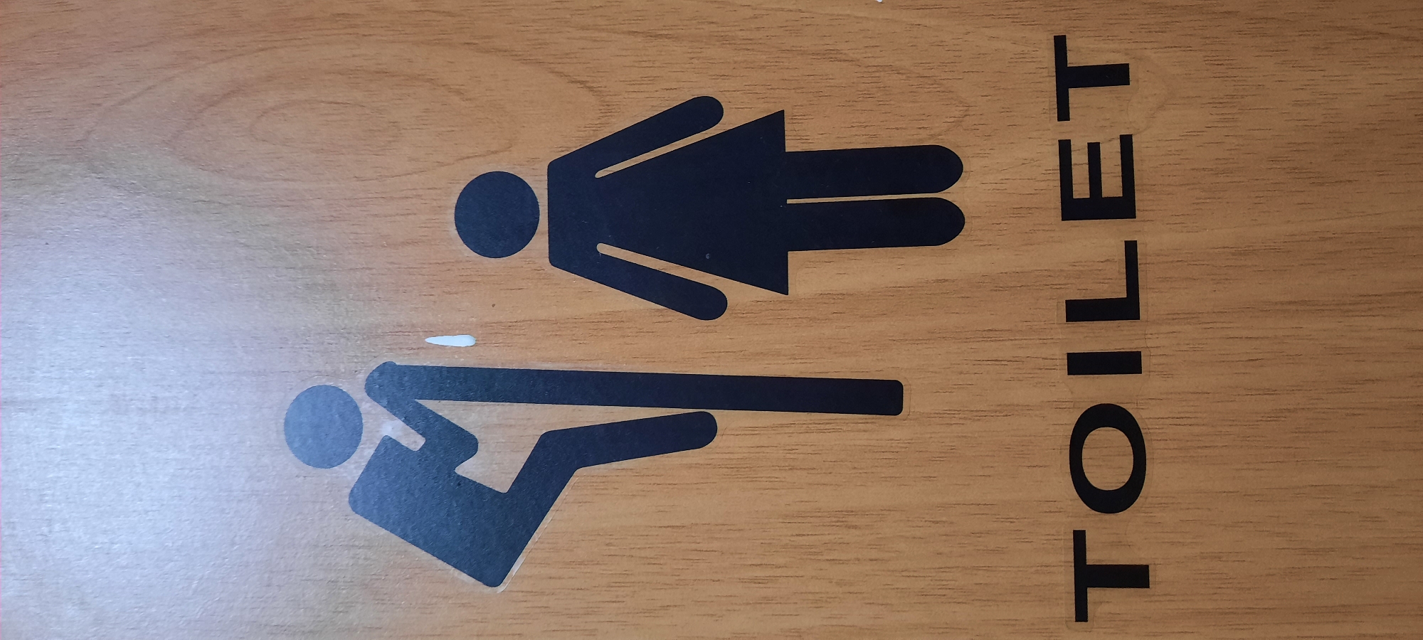 The image shows a toilet sign on a wooden surface. The sign consists of two figures, one male and one female, in black silhouette. The male figure is depicted in a somewhat unusual posture, leaning back with one leg raised, possibly implying a urinal. A small white mark is visible next to the male figure, which could be a paint drip or smudge. The female figure is a standard representation of a woman. Below the figures, the word "TOILET" is printed in large black capital letters. The wooden surface has a visible grain pattern. The location is identified as Shakhty City District, Russia.