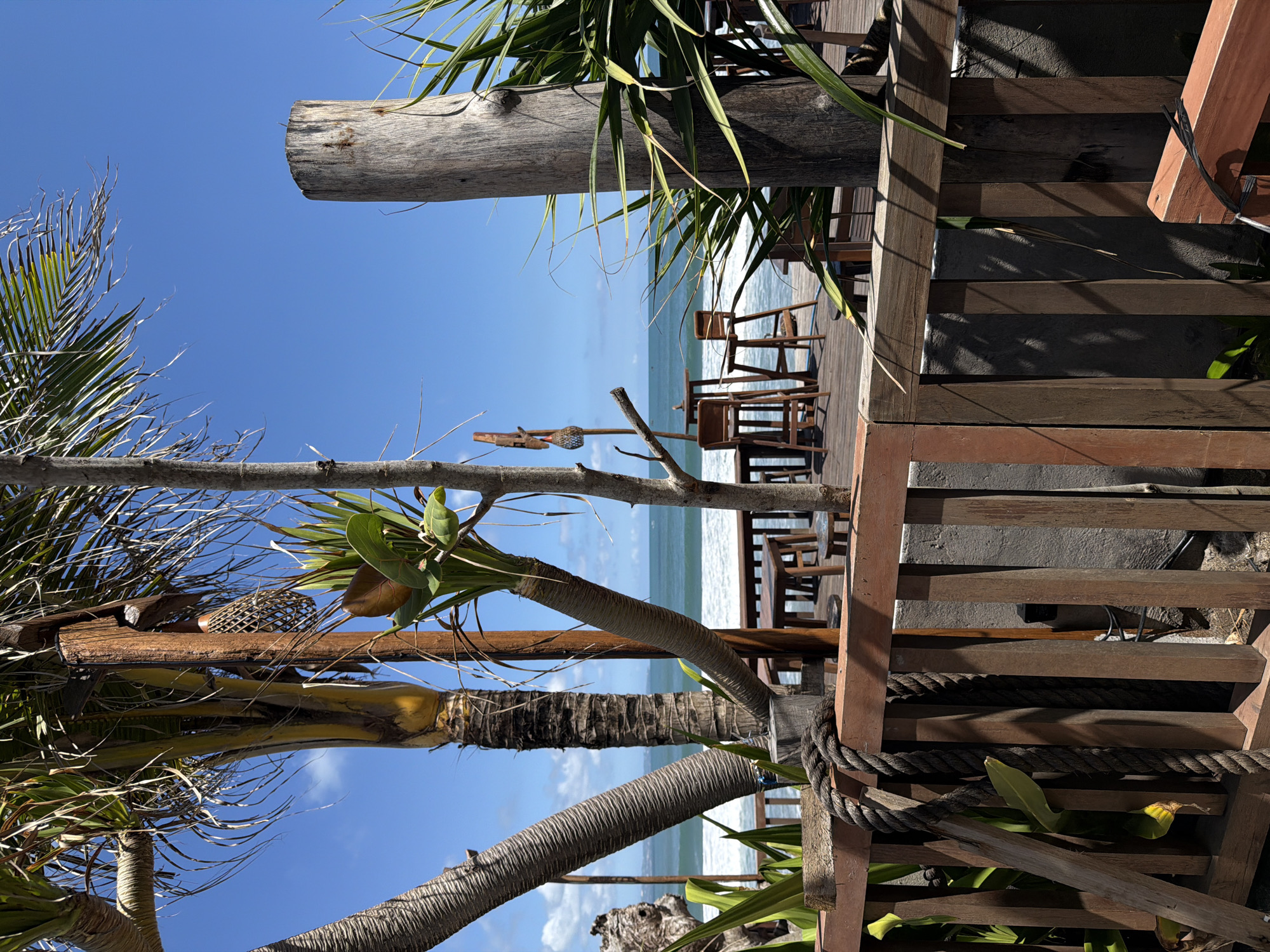 This outdoor image presents a scene that appears to be taken in North Kuta, Indonesia. The perspective is from a slightly elevated viewpoint. The image is rotated counter-clockwise. The foreground is dominated by tropical vegetation, including palm trees and other leafy plants. Some of the trees feature rough, textured bark.
In the middle ground, there is a wooden structure reminiscent of a deck or patio, furnished with wooden chairs and tables. The structure's construction includes visible planks and wooden supports. Beyond this structure, there's a view of the ocean under a clear, blue sky. The horizon line is visible, marking the separation between the sea and the sky.