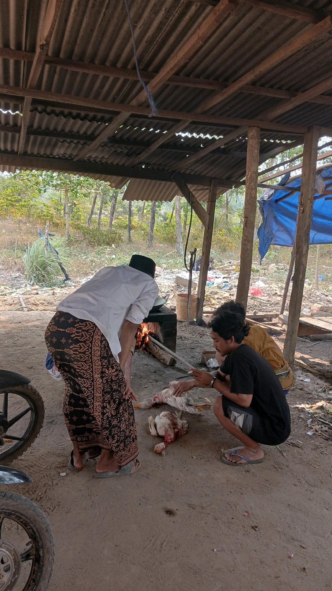 The image depicts an outdoor scene under a makeshift shelter with a corrugated metal roof. Two men and one other individual are present. One man, wearing a white shirt and a batik sarong, is bending over a traditional outdoor stove with a fire burning. Another man, dressed in a black t-shirt and shorts, is kneeling and appears to be preparing a partially dressed fowl lying on the ground. A third person, wearing a yellow garment, is visible in the background. The ground is dirt, and various objects, including motorcycles, debris, and blue tarp, are scattered around. The environment suggests a rural or less developed setting, possibly a backyard or an open area on the outskirts of a settlement. The context of Adi Luhur, Indonesia, implies this scene could be related to food preparation or a traditional gathering.