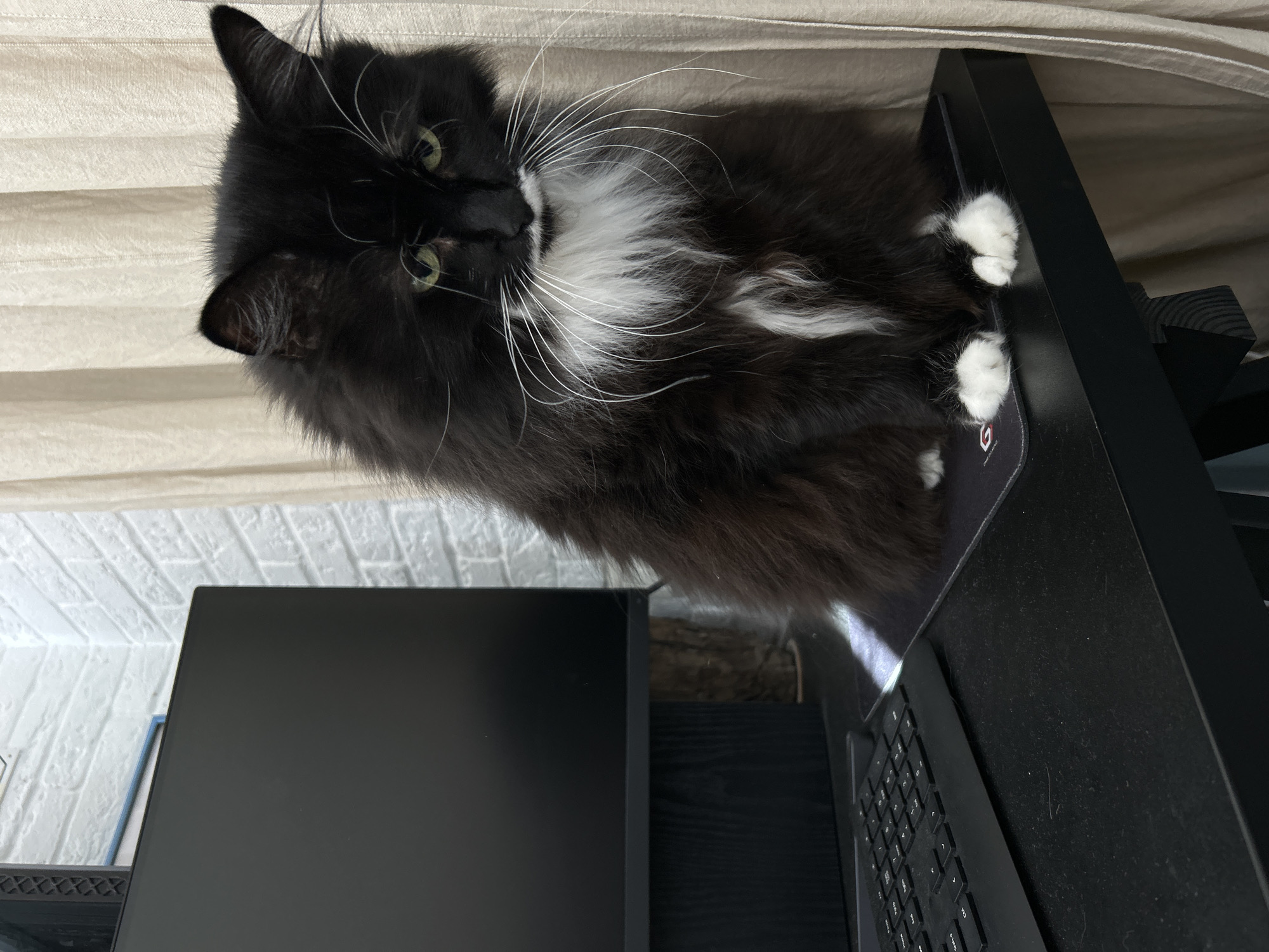 A black and white tuxedo cat with green eyes is resting on a computer desk. The cat is positioned in the upper right portion of the frame, with its head turned towards the viewer. It has long, white whiskers and a white chest. The cat's paws, which are white, are visible on the edge of the desk. The desk itself is black and appears to be made of wood. A portion of a black keyboard is visible on the right side of the desk. In the background, there is a light-colored, textured surface, possibly a wall or blinds. The overall lighting suggests an indoor setting, possibly during the daytime due to the ambient light. The cat appears relaxed and comfortable in its environment. There is no visible text in the image.