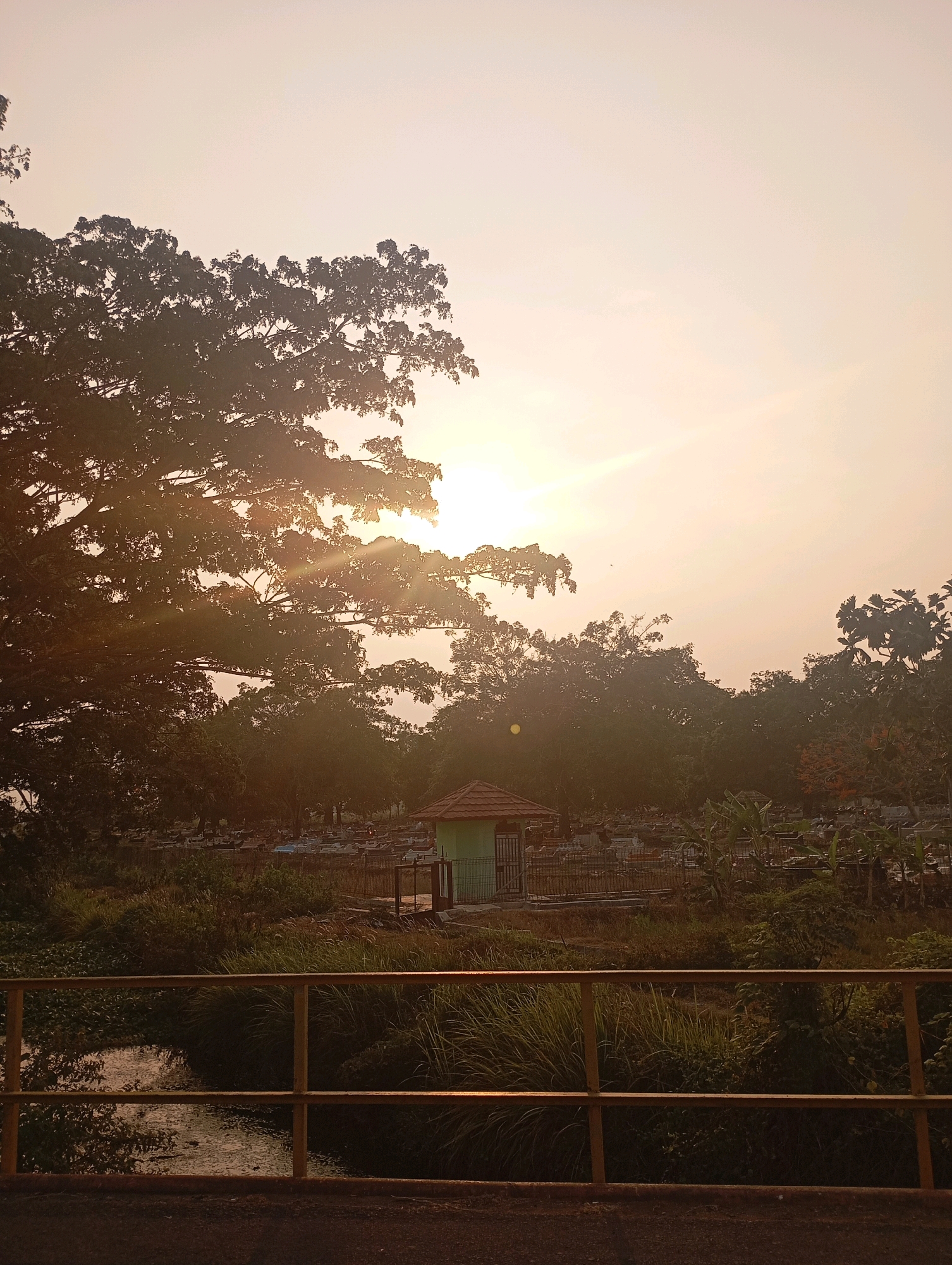 The image depicts a serene outdoor scene at what appears to be dusk or dawn, with the sun casting a warm, soft glow across the sky. In the foreground, a yellow railing is visible, with a dark road or pathway below it. To the left, a small body of water is present, reflecting the muted light and surrounded by lush green vegetation, including tall grasses and aquatic plants.
Beyond the railing and water, the landscape opens up to reveal a cemetery. Numerous gravestones are arranged in rows, some with visible structures or coverings. A small, light green building with a reddish-brown roof stands near the cemetery, possibly a chapel or administrative structure.
Dominating the left side of the image is a large, silhouetted tree with extensive branches and dense foliage, its form highlighted against the bright sky. The background is filled with more trees and vegetation, creating a natural, slightly wild environment. The overall impression is one of tranquility and natural beauty, possibly in a peri-urban or rural setting within or near the city of Karawang, Indonesia. No people are clearly visible in the image.
