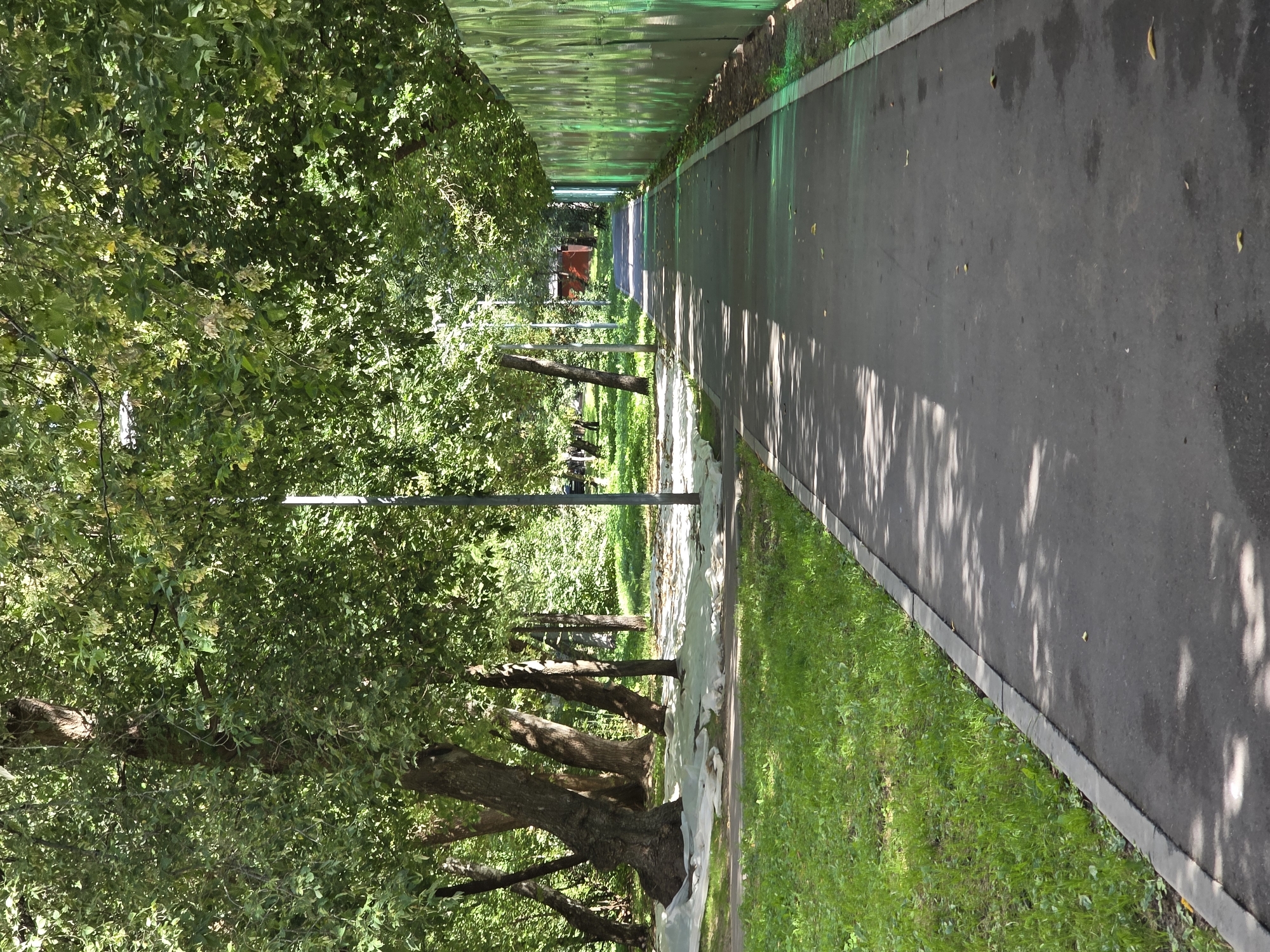 The image depicts a paved pathway through a park-like area, bordered by trees and a green, semi-transparent fence on the right. The pathway is empty of people and is dappled with sunlight filtering through the overhead foliage. On the left, there is a grassy area with several large trees, some of which have white sheeting around their bases, suggesting recent landscaping or maintenance. In the distance, a small red building is visible between the trees. The scene appears to be an urban park in Moscow, Russia, likely during the daytime in fair weather.