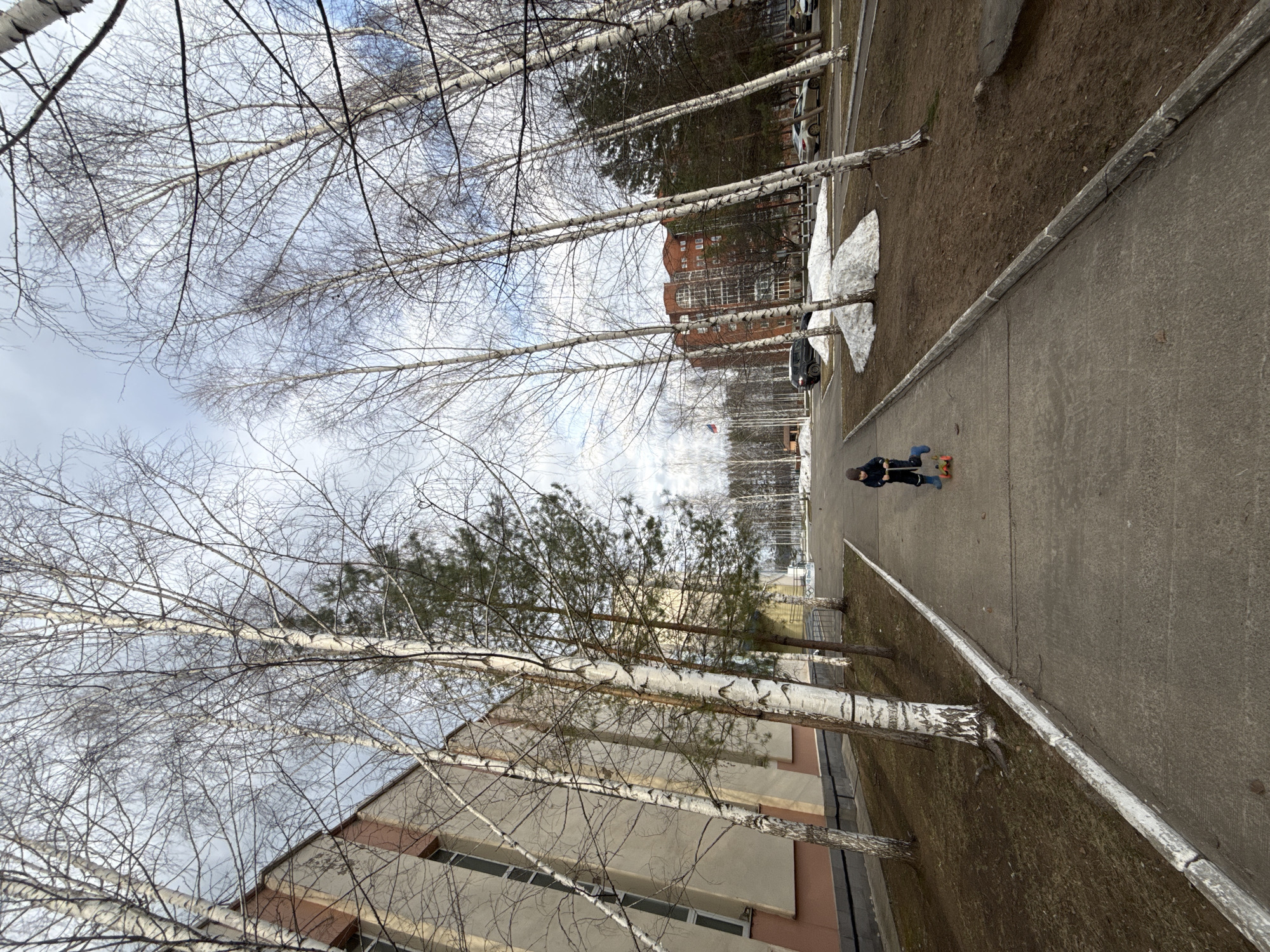 The image captures an outdoor scene, likely a residential area or park, during daytime on an overcast day. A concrete pathway stretches from the foreground into the midground, with bare ground and patches of melting snow bordering it on the left. Numerous tall birch trees with characteristic white bark and leafless branches are prominent on the left side of the frame, extending towards the sky. Further back, evergreen pine trees and multi-story buildings are visible; one building is reddish-brown brick, and another has lighter-colored facades.
A person, possibly a child, is seen on the concrete path in the midground. They are dressed in dark clothing, including a jacket, pants, and a hat, accented by bright blue boots. The person is standing next to a scooter, which has orange and black wheels and a dark deck, suggesting they are either about to ride or have paused from riding.
The bare branches of the trees and the lingering snow on the ground indicate a transitional season, such as late winter or early spring. The sky is largely cloudy with varying shades of grey and white. There is no visible text in the image. The scene conveys a quiet, possibly cool, atmosphere typical of northern latitudes during this time of year, consistent with the provided location context of Chaikovsky, Russia.