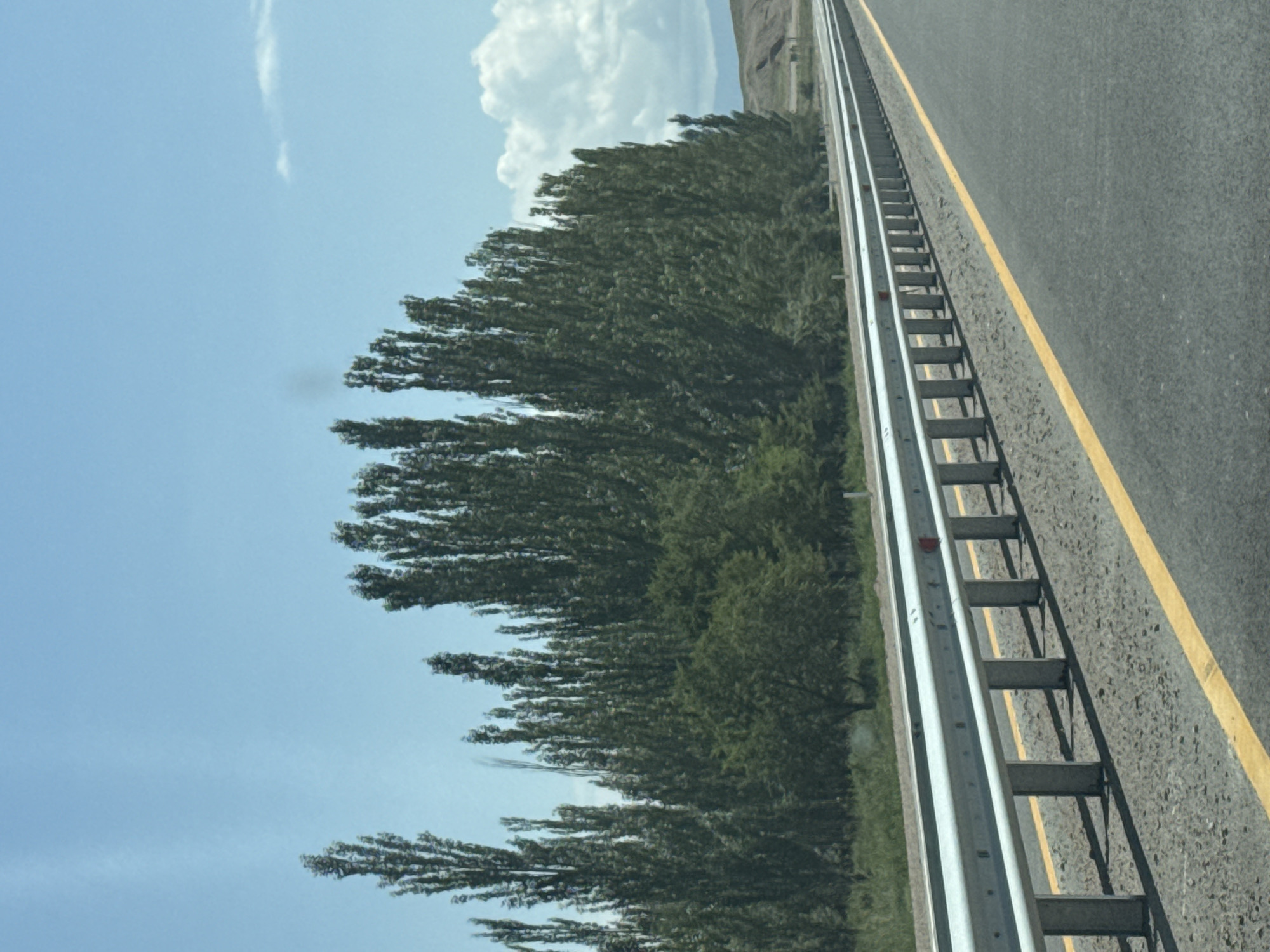 The image depicts a highway scene in Balykchy, Kyrgyzstan. A silver guardrail runs along the right side of a dark asphalt road, marked with a yellow line. Behind the guardrail, a dense line of tall, slender trees stands against a bright blue sky with scattered white clouds. The trees are lush and green, forming a thick wall of foliage. Further in the background, rolling hills are visible under the sky. The overall impression is of a landscape encountered while traveling on a highway.