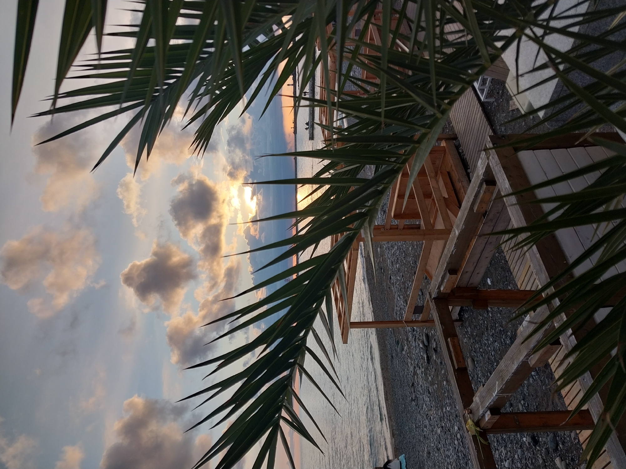 Captured from a somewhat angled perspective, the image showcases a beach scene in Sochi, Russia. A prominent palm tree branch stretches across the foreground, framing the view. The sky is filled with clouds bathed in the soft glow of the setting sun. The Black Sea laps against a rocky shoreline. Wooden structures, possibly part of a beachside cafe or recreational area, are visible, seemingly empty. In the distance, a pier is dotted with a few silhouettes. The overall atmosphere is tranquil and warm.