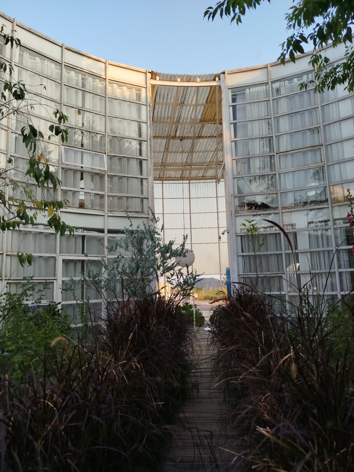 Captured at a low angle in Da Lat, Vietnam, the image features a curved building with a grid of windows, many covered by white curtains. Lush greenery, including tall grasses with feathery plumes, lines a wooden walkway leading towards the building. Some plants and a security light are visible beyond the building. The sky is clear and light blue.