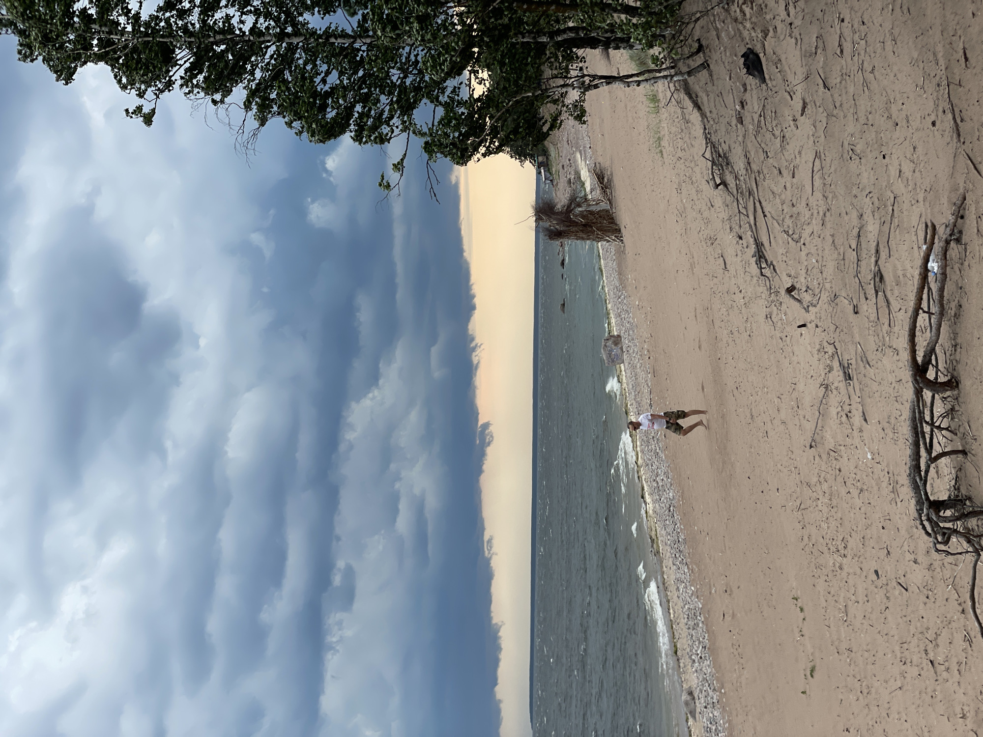 A person walks along a sandy beach towards the right side of the frame, with the sea on the left. The sky is filled with dark, dramatic clouds, and a pale orange glow is visible near the horizon. The beach is composed of sand and pebbles, with scattered driftwood. A tree with green leaves stands on the right side of the image, its branches swaying. The sea is choppy with visible waves. The scene suggests an overcast or stormy day. The location is identified as Luzhki, Russia.