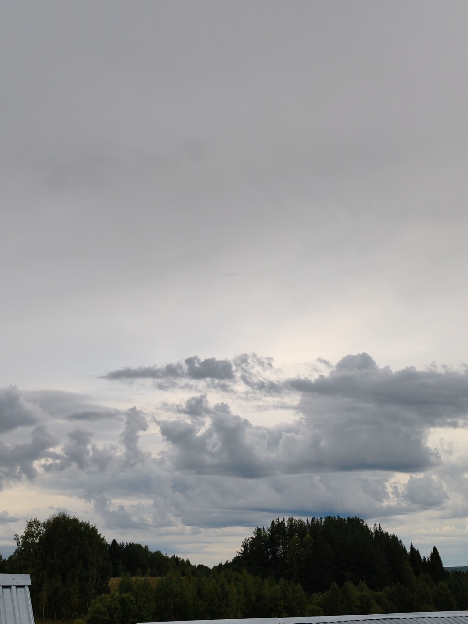A cloudy, overcast day is captured in this landscape image. The sky is filled with various shades of grey clouds, with some lighter patches suggesting the sun is attempting to break through, or it's a very bright overcast day.
In the foreground, the top of a white corrugated metal structure is visible, likely a roof or building. Below this, a dense line of dark green trees stretches across the middle ground. These trees appear to be a mix of deciduous and coniferous varieties, forming a thick forest canopy. The foliage is lush and full, indicating it is likely summer or early autumn.
Beyond the immediate treeline, the landscape rolls gently, with hints of fields or more sparse vegetation visible between the denser wooded areas. The overall setting is rural, characteristic of the Russian countryside. The weather appears to be either before or after rain, with the heavy cloud cover creating a subdued and somewhat moody atmosphere. No people or specific activities are depicted. The time of day is difficult to pinpoint precisely due to the overcast conditions, but the lighting suggests it is daytime.