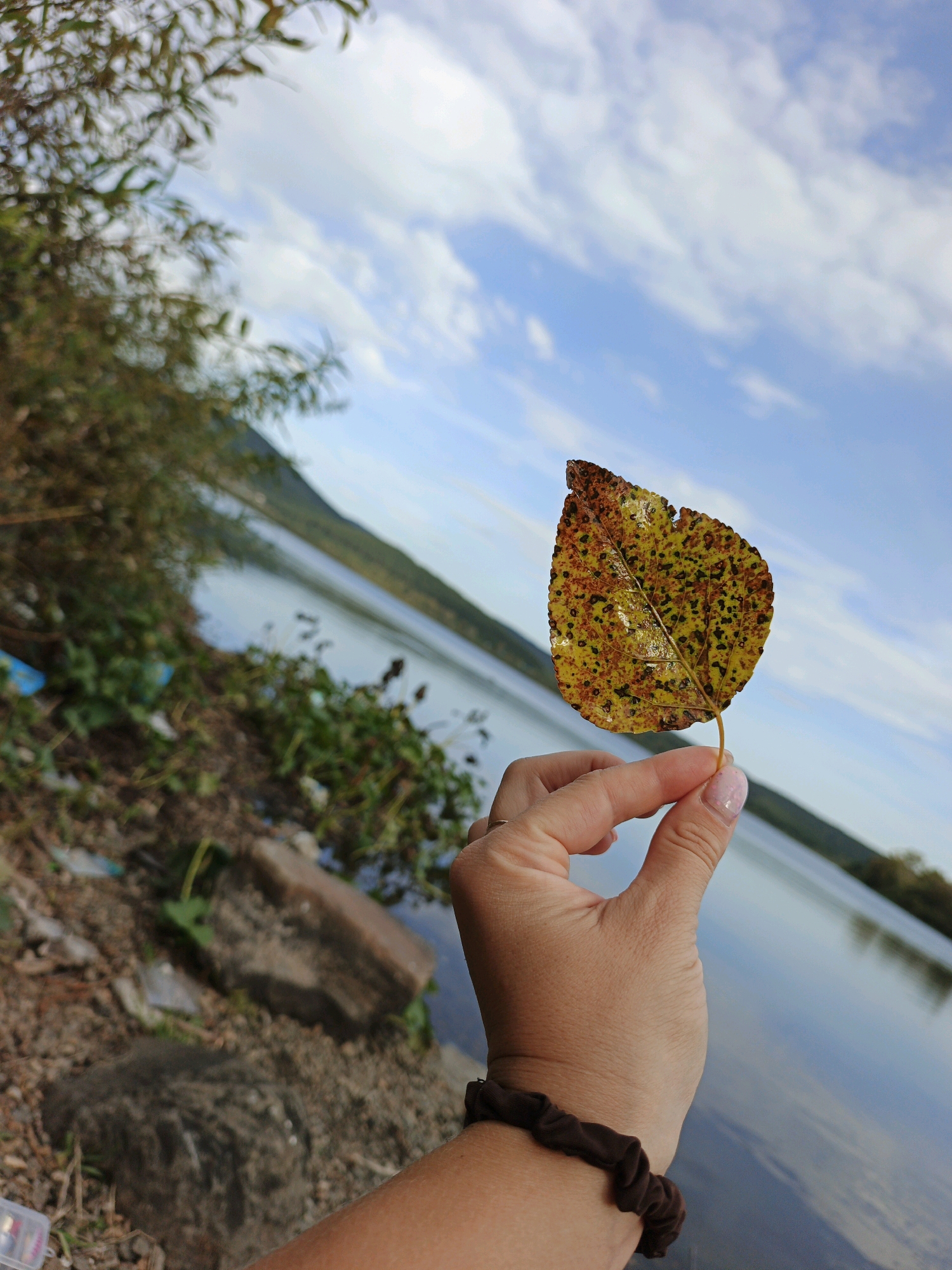 A hand holds a yellow, spotted autumn leaf against a backdrop of a calm body of water and a hazy, tree-lined distant shore under a partly cloudy sky. The foreground shows the rocky, debris-strewn edge of the water.