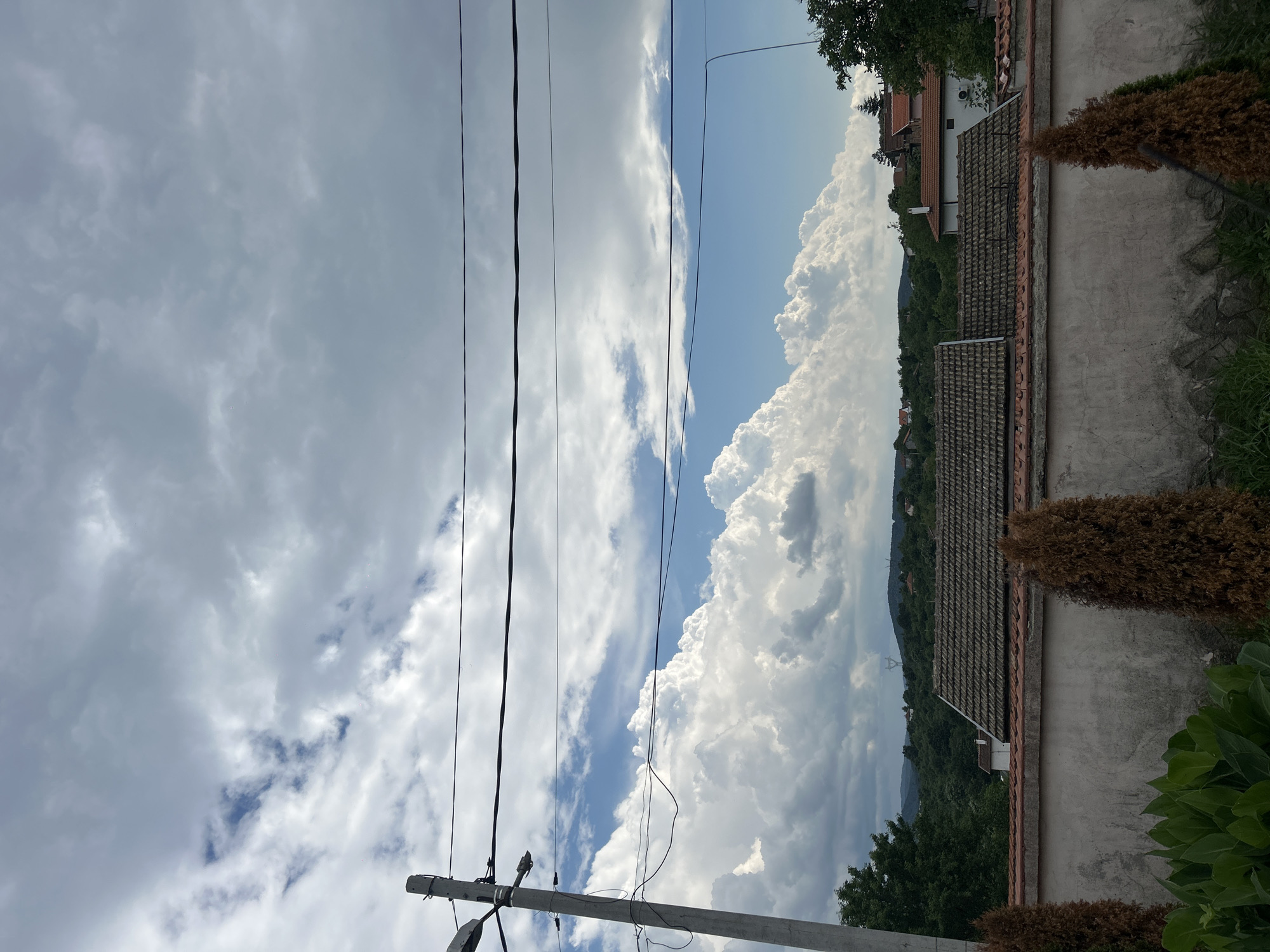 The image presents a daytime view from Krushevets, Bulgaria, showing a complex sky, a utility pole, and a foreground wall with plants, extending to rooftops and a distant forested landscape. The upper portion of the sky is predominantly covered by a layer of grey, textured clouds, possibly stratocumulus. Below this, prominent, bright white cumulus clouds dominate the mid-sky, interspersed with patches of clear blue sky.
A grey concrete utility pole, equipped with multiple dark wires and at least two street light fixtures, stands vertically on the left side of the frame. Several black electrical or communication lines extend horizontally from the pole across the width of the image at varying heights.
In the immediate foreground, a textured, light grey concrete wall with a reddish-brown tiled coping runs horizontally across the lower part of the scene. Below the wall, a bed of vibrant green, broad-leafed plants is visible, along with two distinct, conical-shaped shrubs with dried, brownish foliage, positioned in the lower-left and lower-right portions of the frame.
Behind the wall, several houses with dark-tiled, pitched roofs are partially visible. Some white building facades can be seen between the rooflines. The background features undulating green hills densely covered with trees. Scattered houses are visible among the distant foliage. A tall, lattice-structured power line pylon is faintly discernible on a distant hilltop towards the upper-right of the background. No people or specific actions are visible in the scene.
